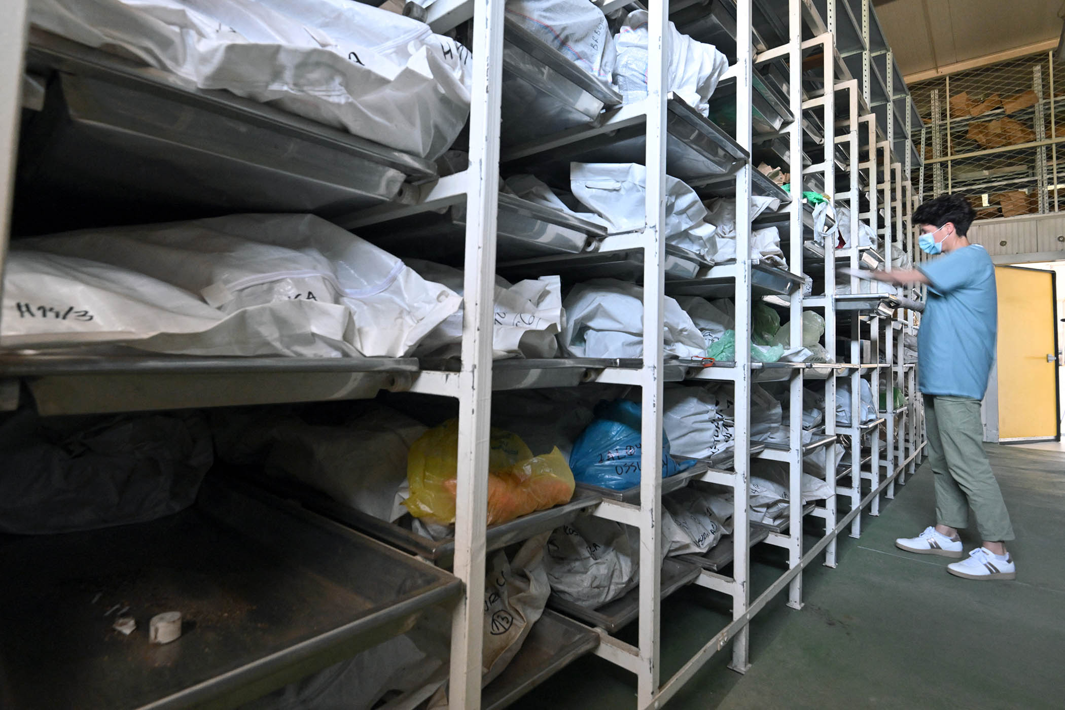 Dr Dragana Vučetić at the International Commission on Missing Persons laboratory in Tuzla, Bosnia and Herzegovina