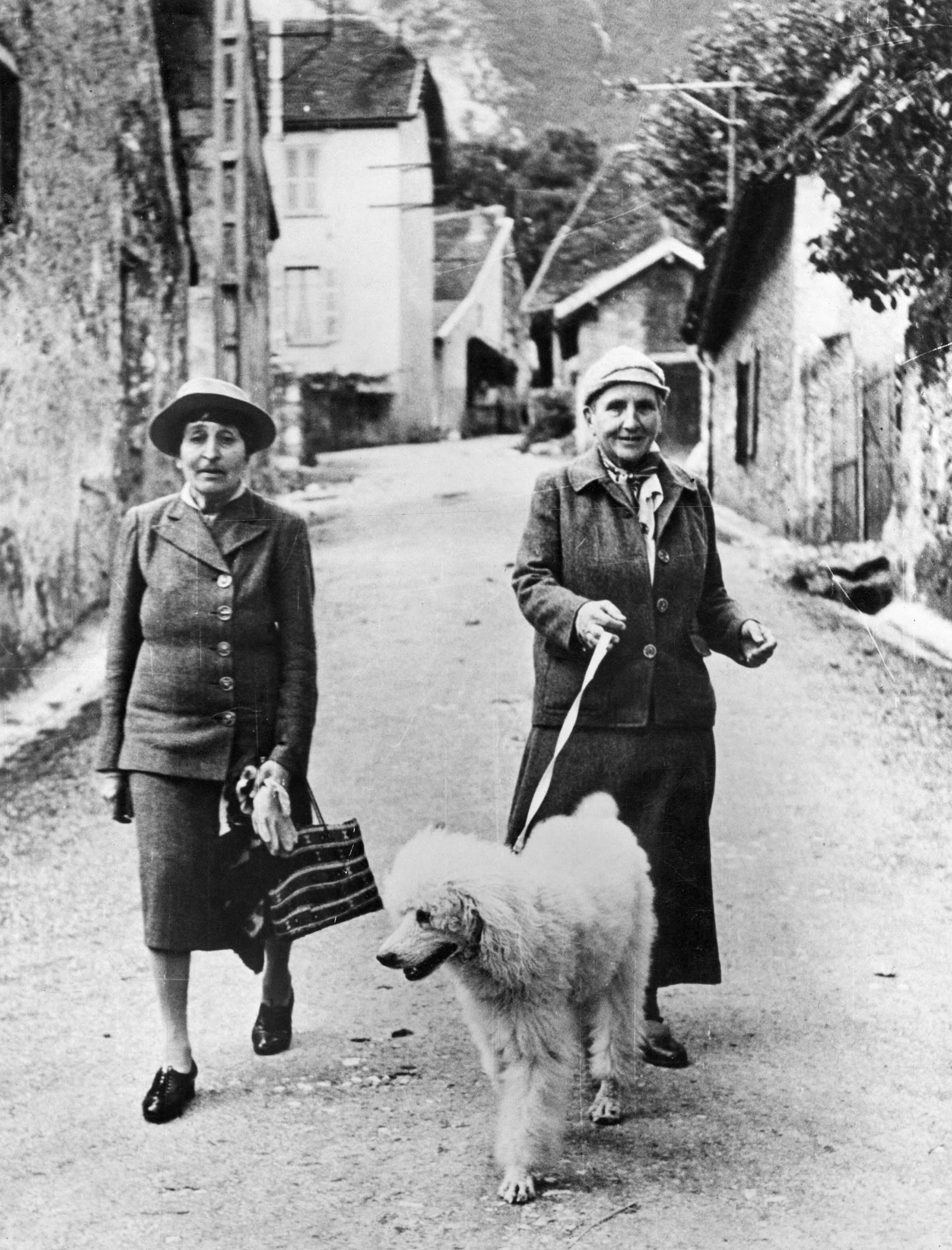 Stein walking Basket 2 with Alice B Toklas in south-east France