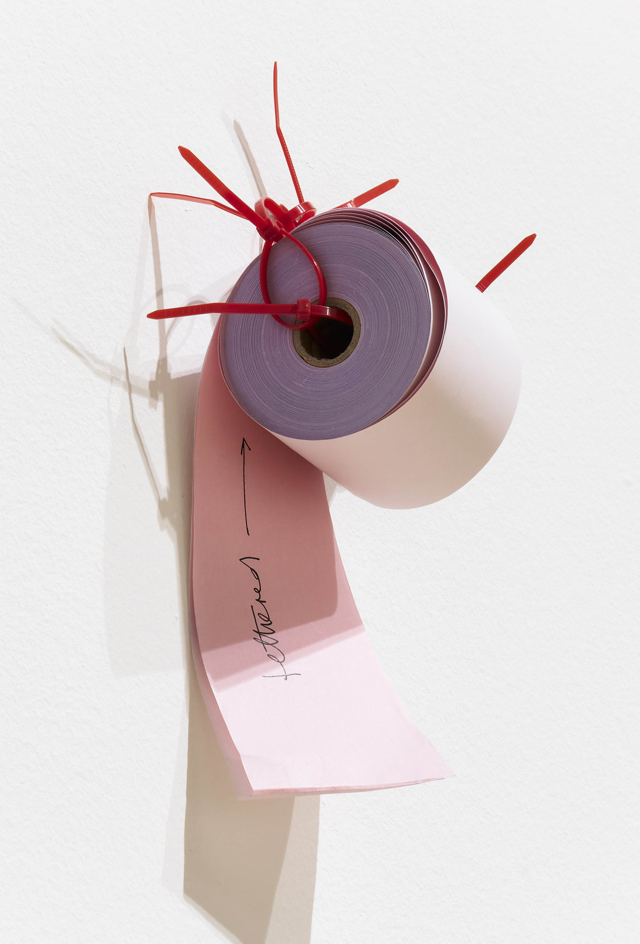 ‘The significance is obscure, the reasons all too often withheld’: Veronica Ryan at the Whitechapel Gallery