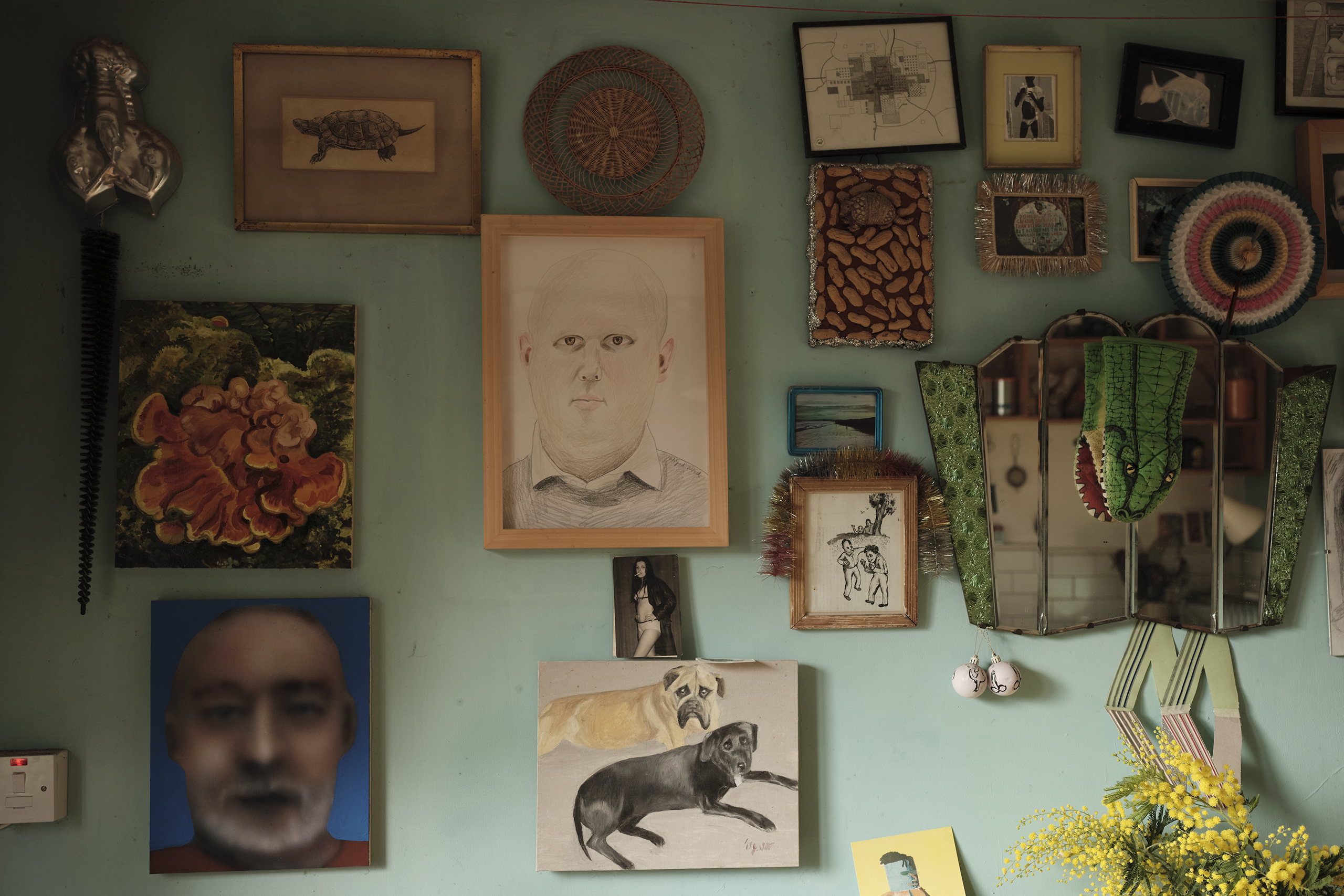 ‘I like to have pieces on the walls that I might one day aspire to do myself’: every wall in Wood’s home is covered in art – the terrapin, top left, was drawn by his father