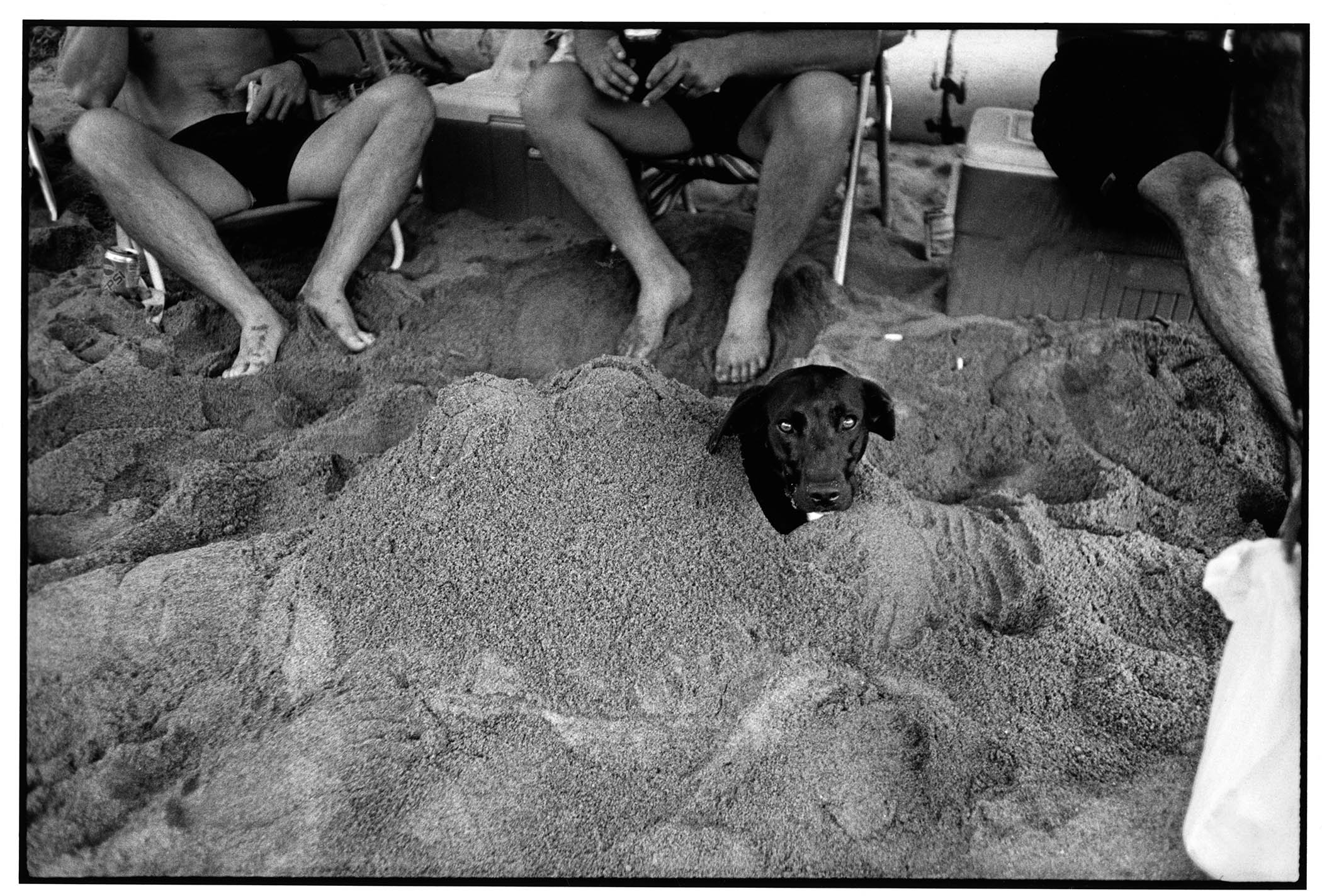 ‘Abby as a camel, Saco River canoe trip, 1996’