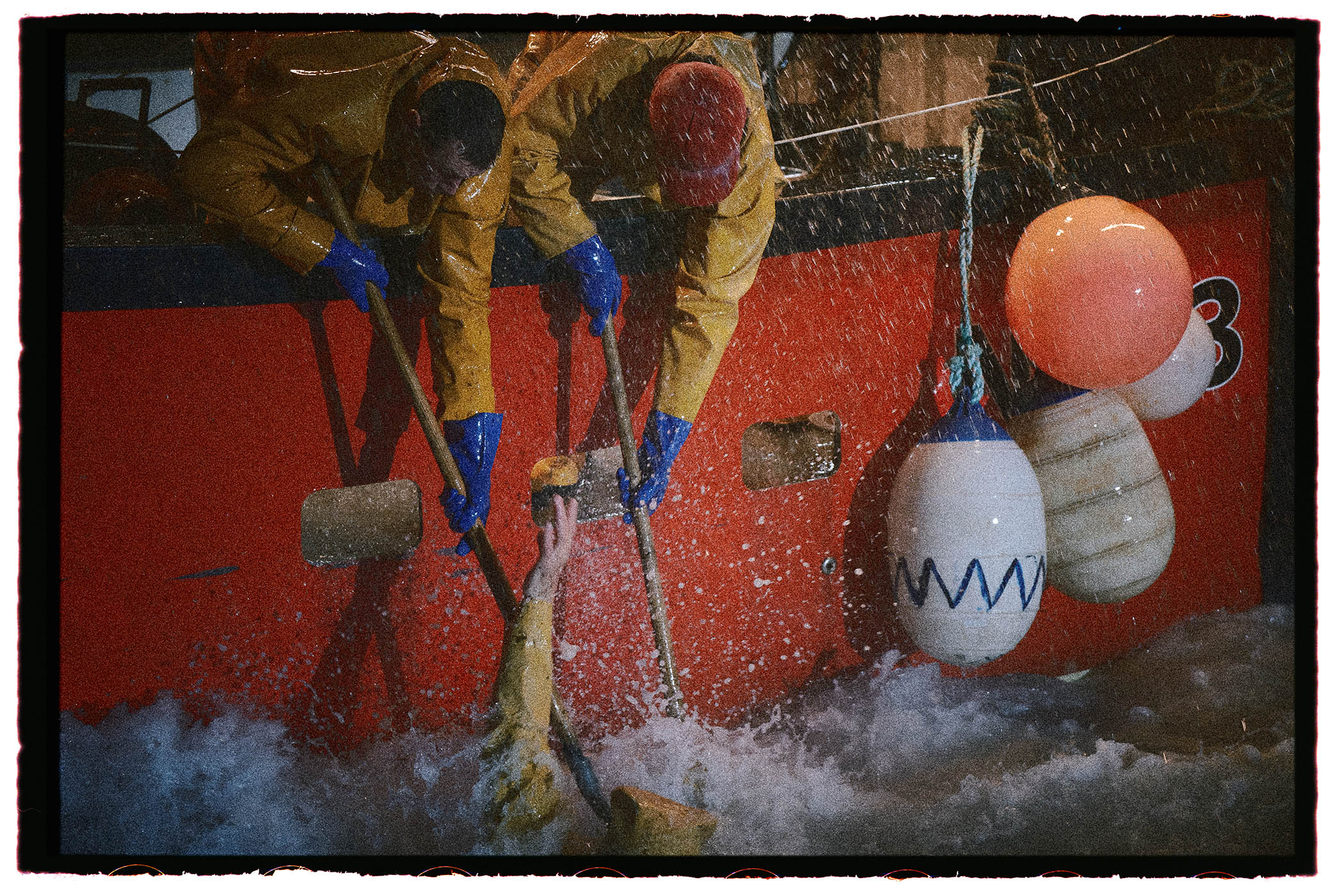 ‘I am not sure there is a bloodier representation of fishing on screen’: Rose of Nevada