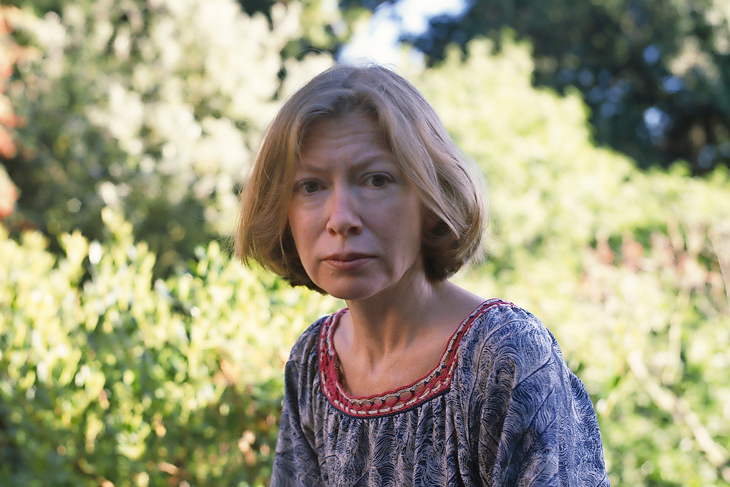 one of article images