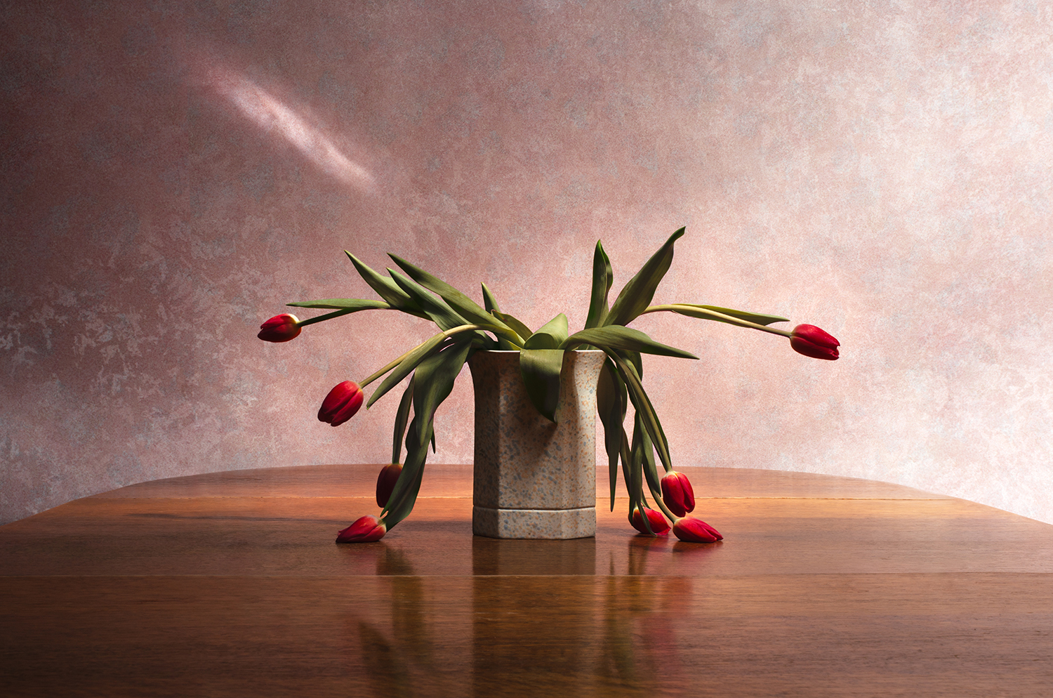 The gang created fake profiles and fictional biographies on dating websites to lure their victims