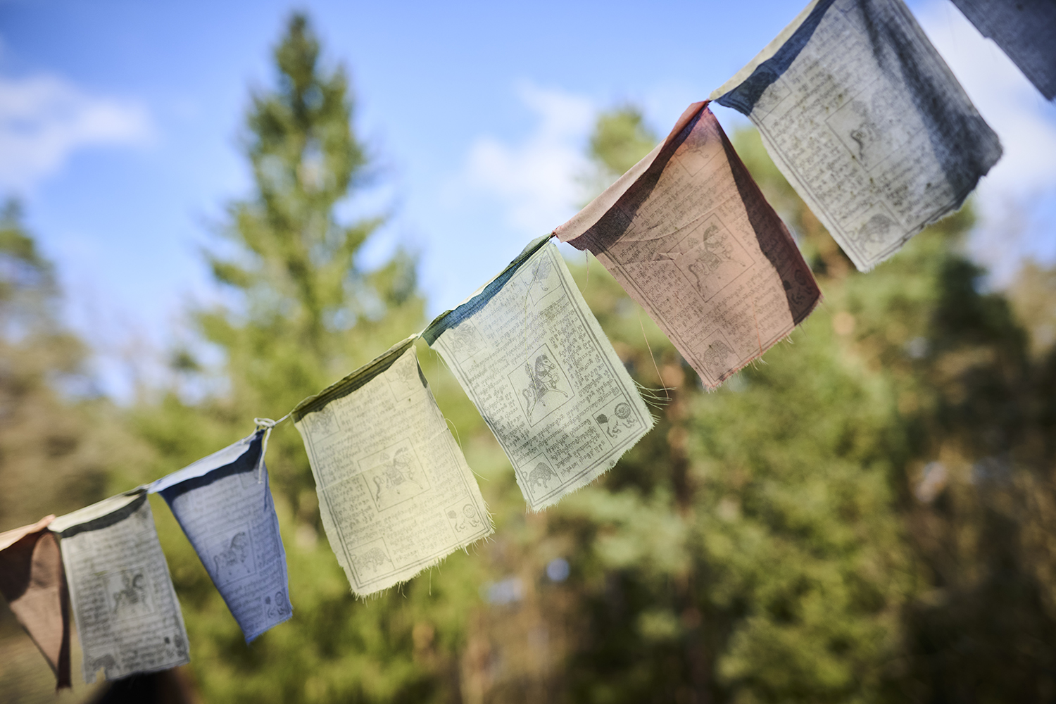 one of article images