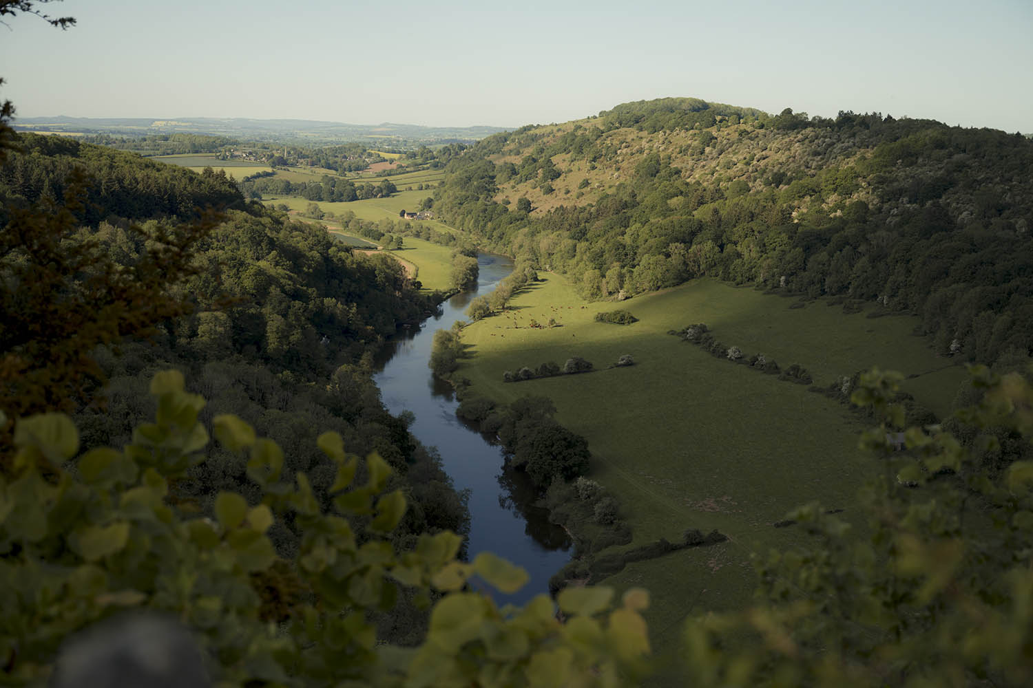 High court to decide if 23 million chickens are killing the River Wye