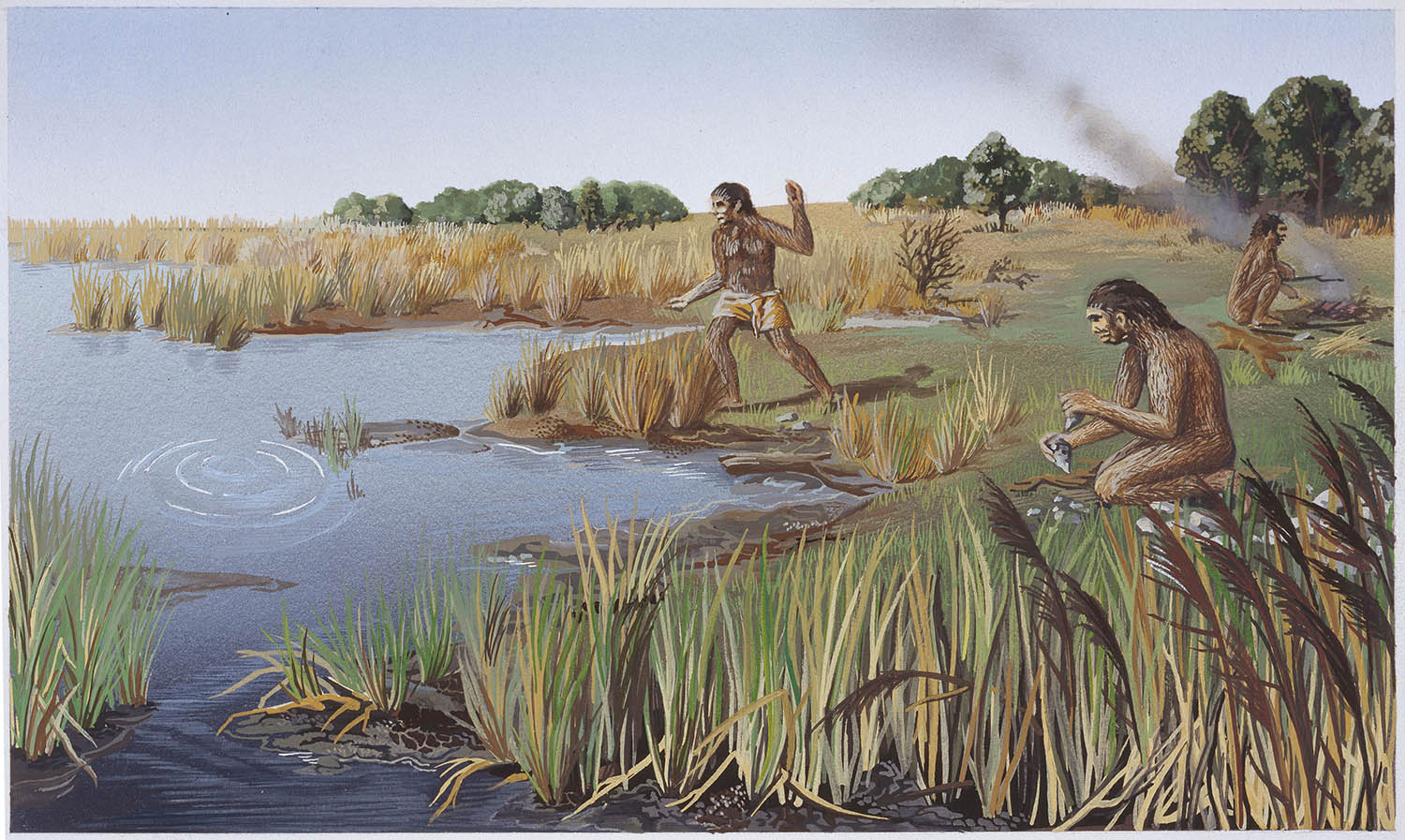 An illustration of hominins using stone tools