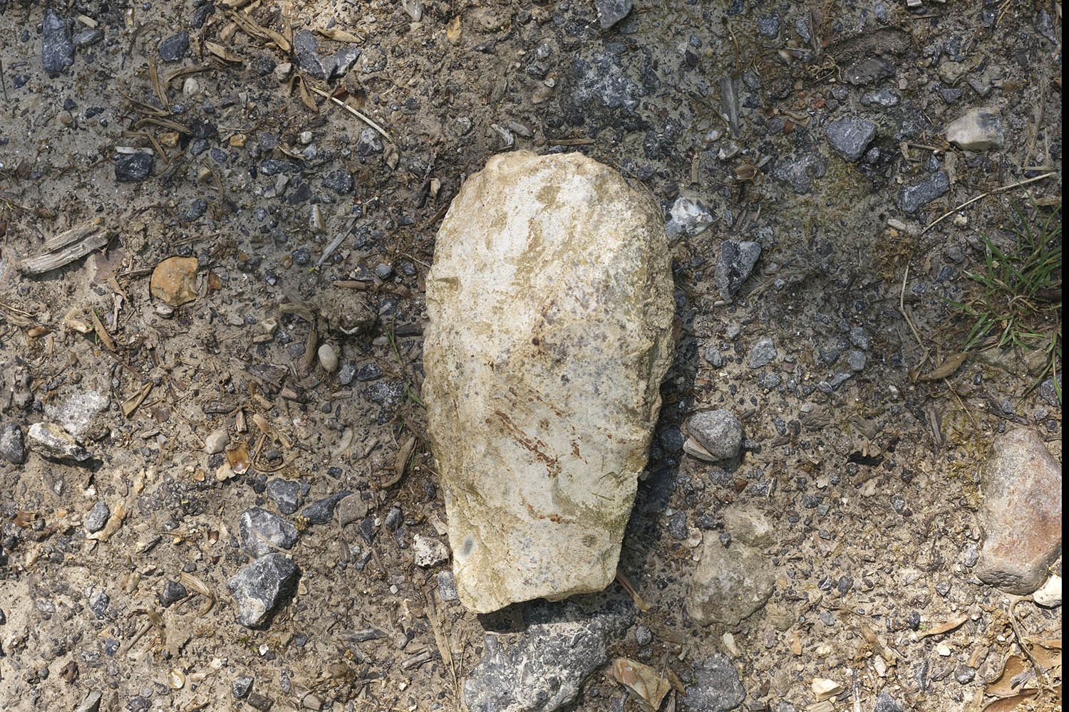 The hand axe found by Emily H Wilson and her family