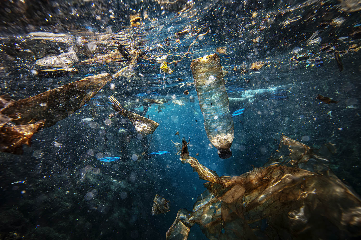 ‘We must stop treating the ocean like a bottomless trash can’