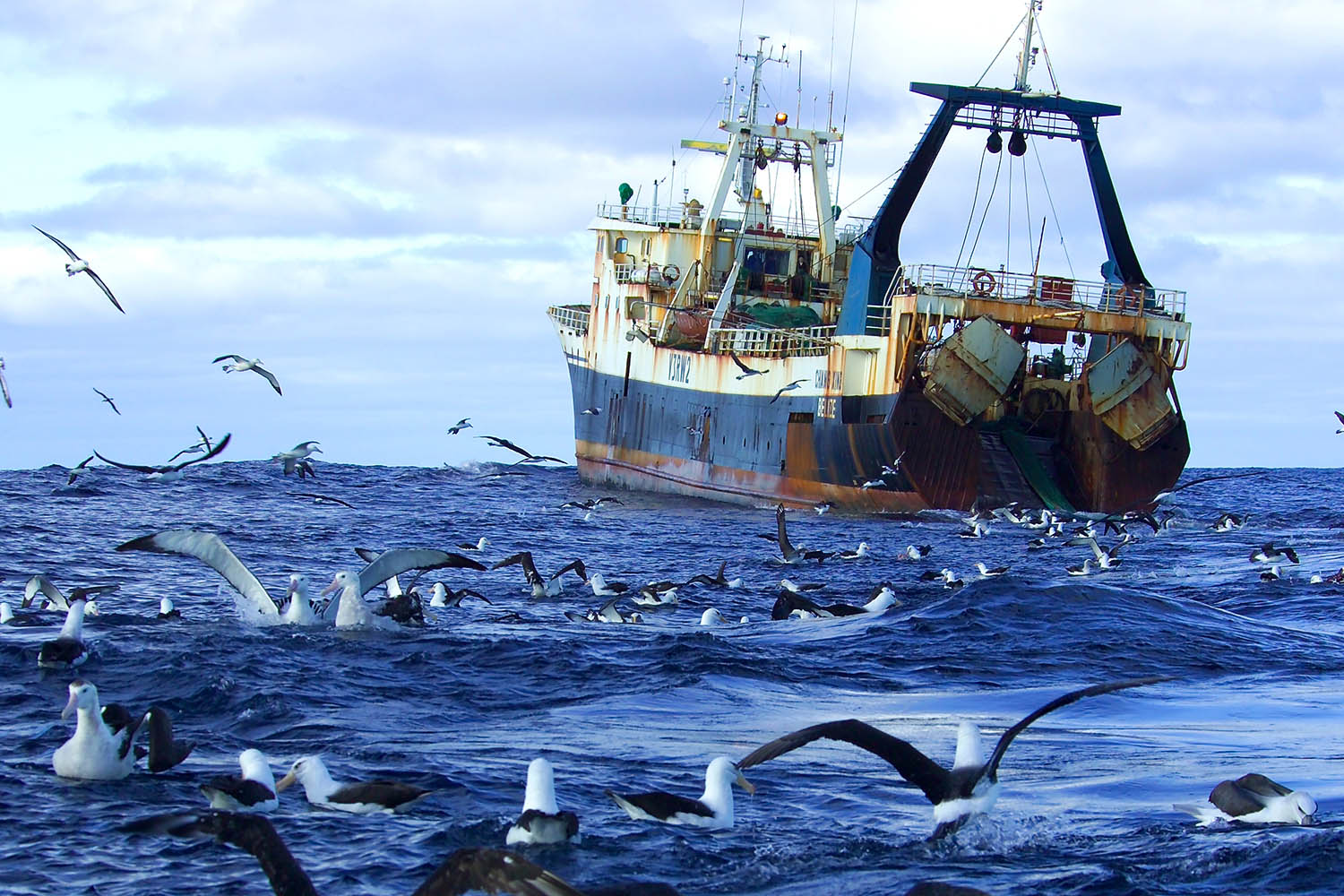 The battle to stop Africa’s waters being ravaged by China’s dark fishing fleets