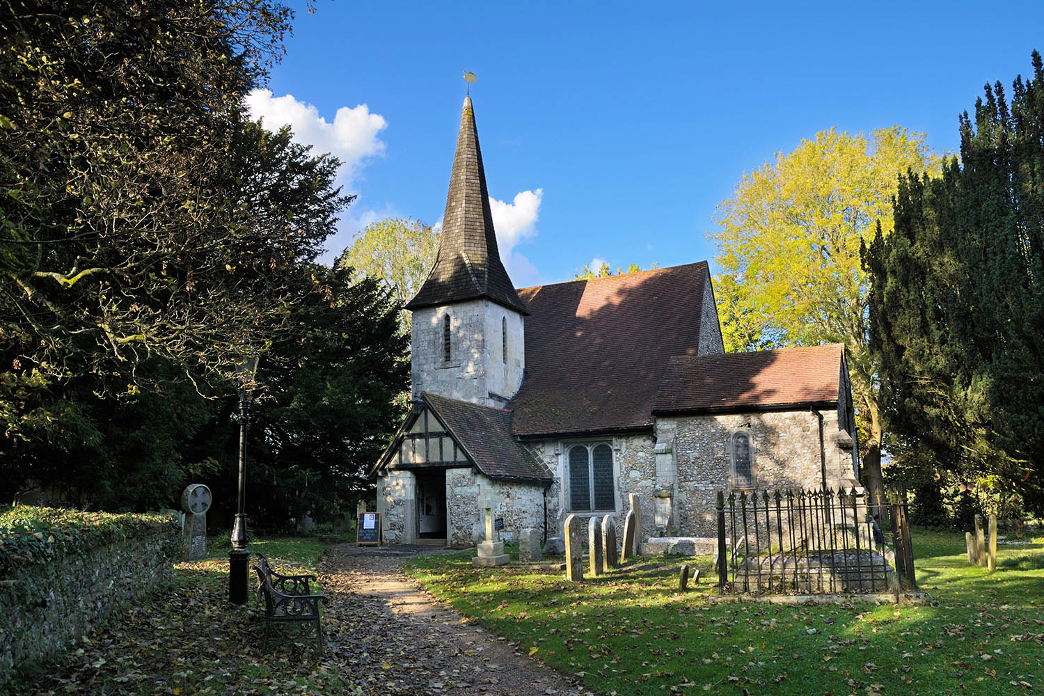 one of article images