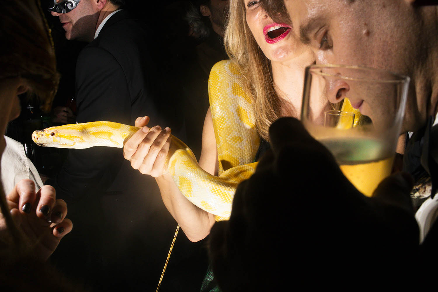 The big picture: Landon Nordeman’s party python