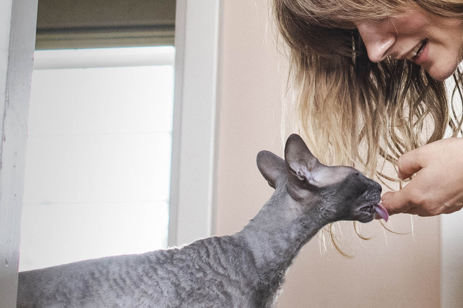 Hunt with Myshka; the cat’s arrival caused ‘palpable, blistering tension’