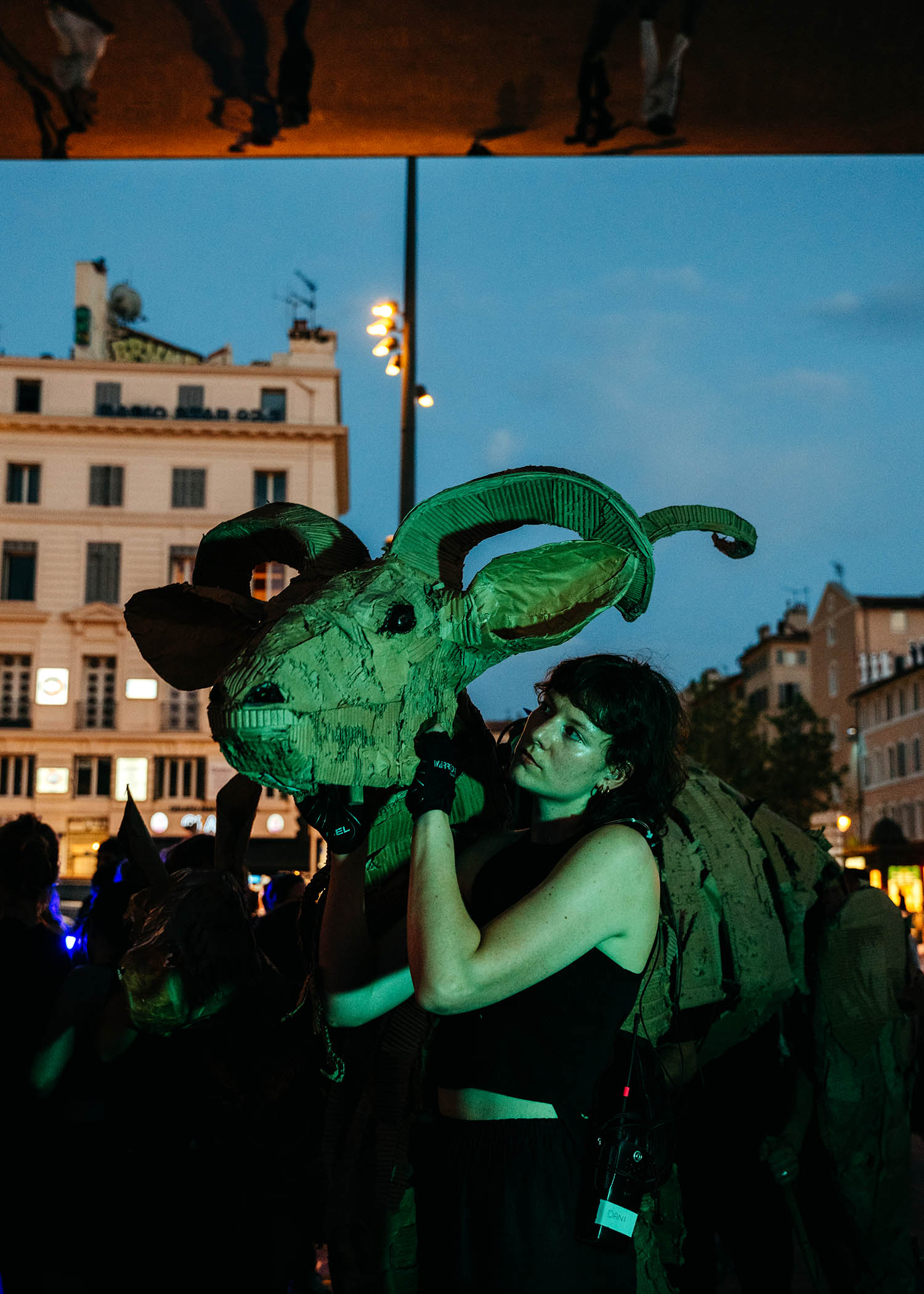 ‘Night-time safari: ‘Entirely new attitudes spring into life’ with a tilt of the head