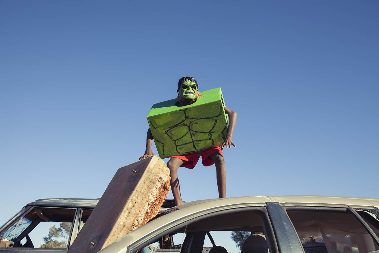 The big picture: David Charles Collins and Tony Albert’s Hulk