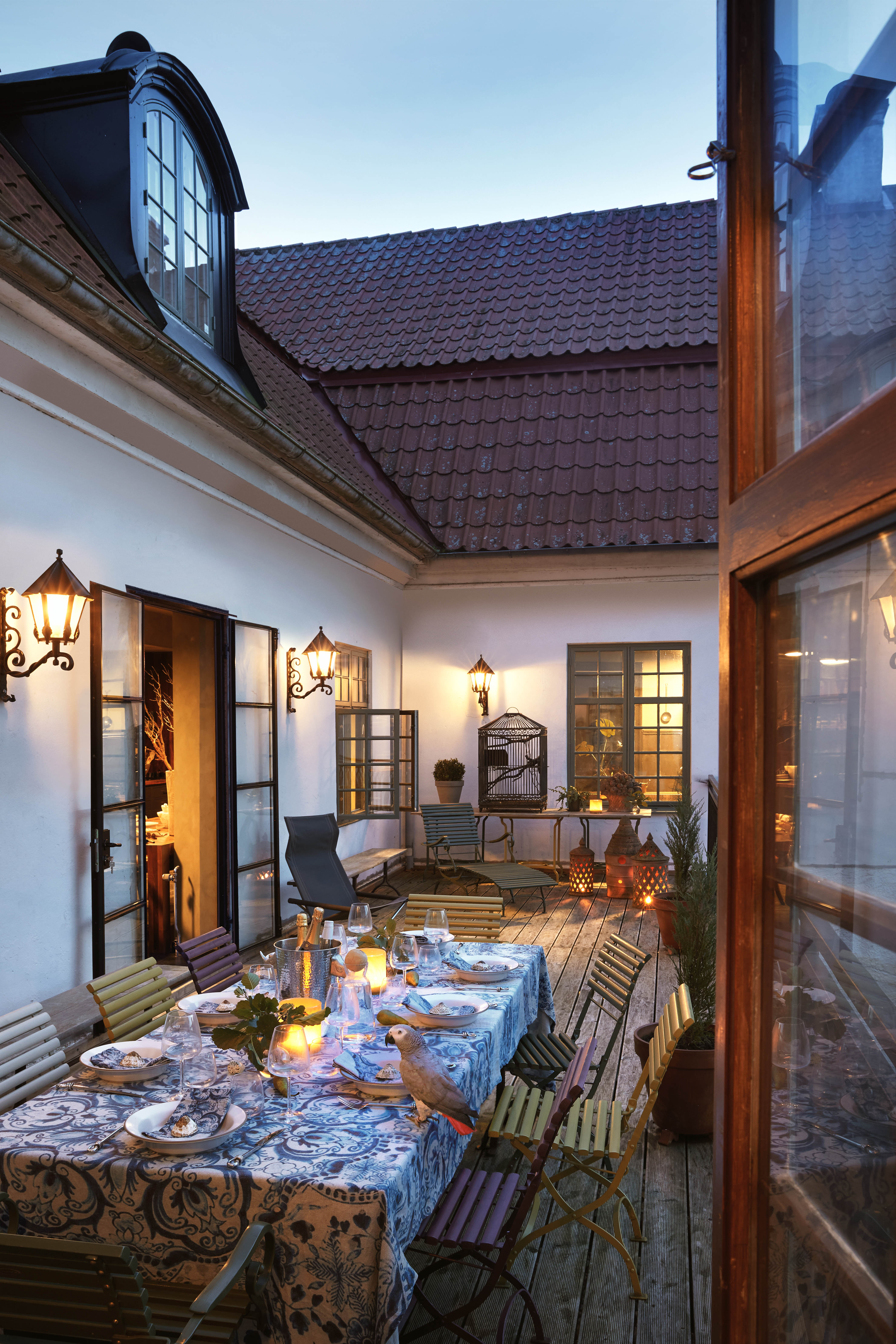 Dining out: a table set for an evening meal, with parrot as guest of honour
