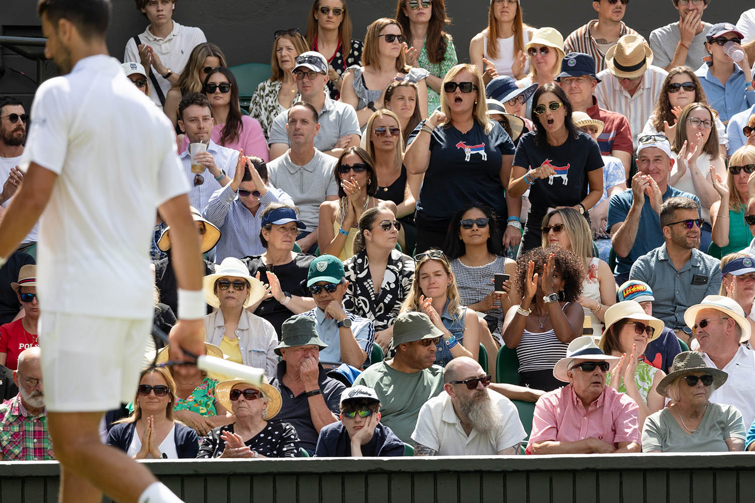 Djokovic fans watch him play against Britain's Daniel Evans in Centre Court.
