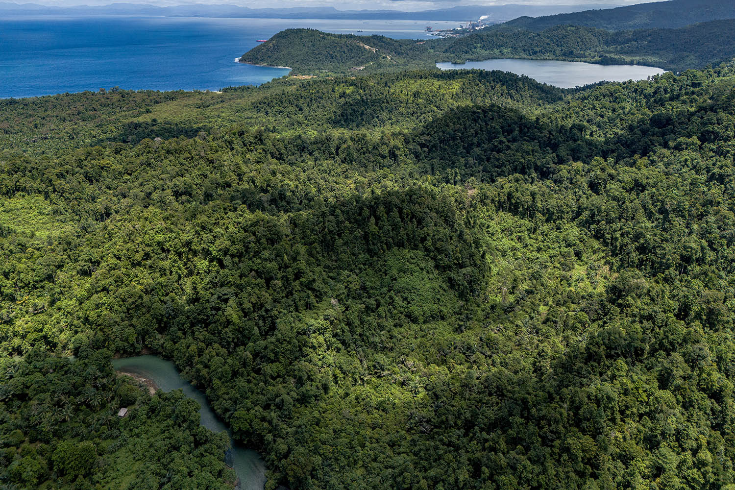 Pristine forests on Halmahera, the largest spice island in Indonesia, where nickel is now being extracted