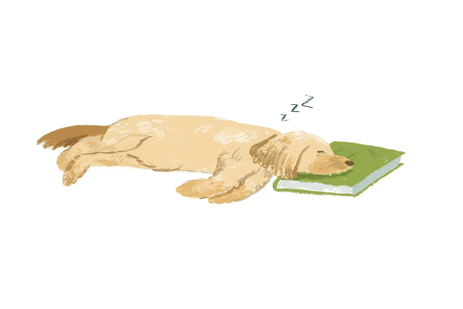 The 20 books to read this summer