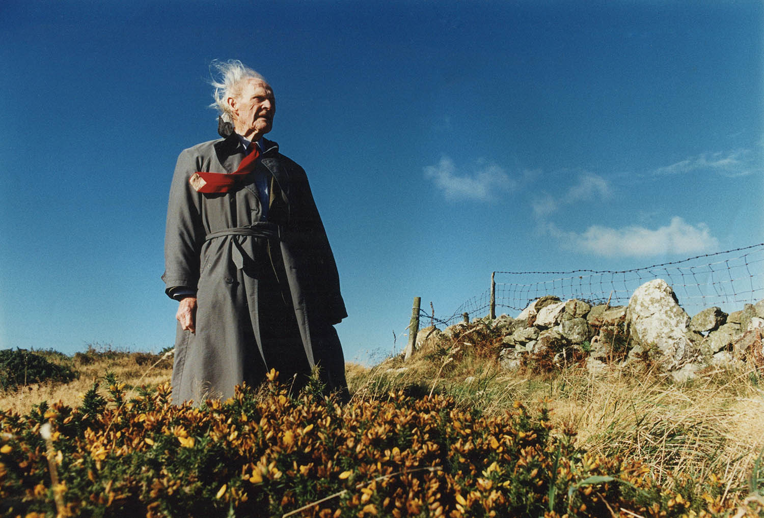 ‘The machine appeared in the distance, singing to itself of money’