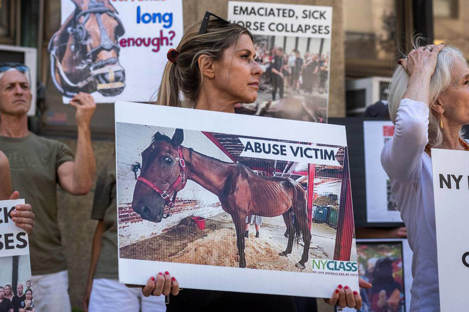With animals, caring too much is as cruel as caring too little
