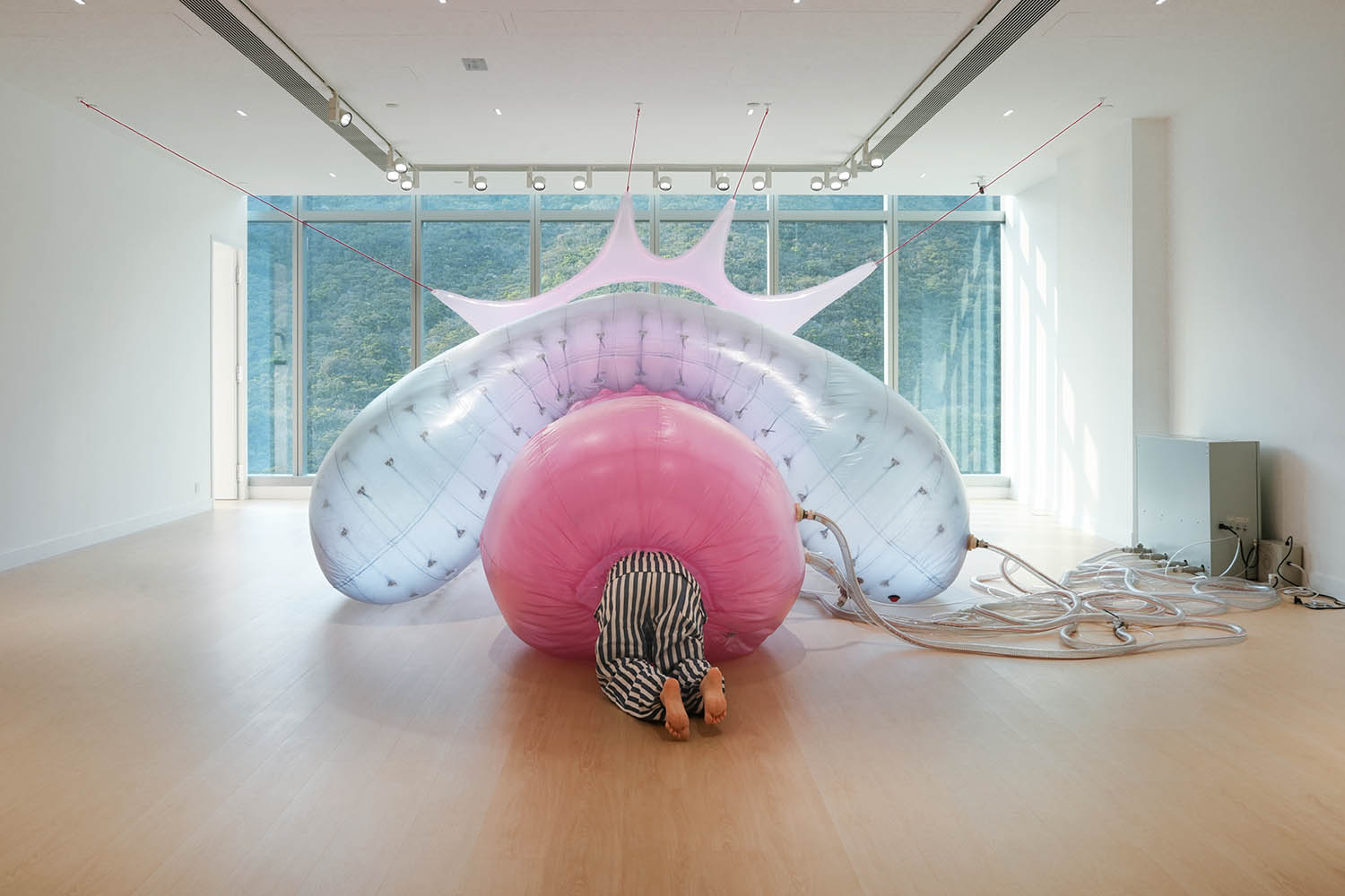 one of article images