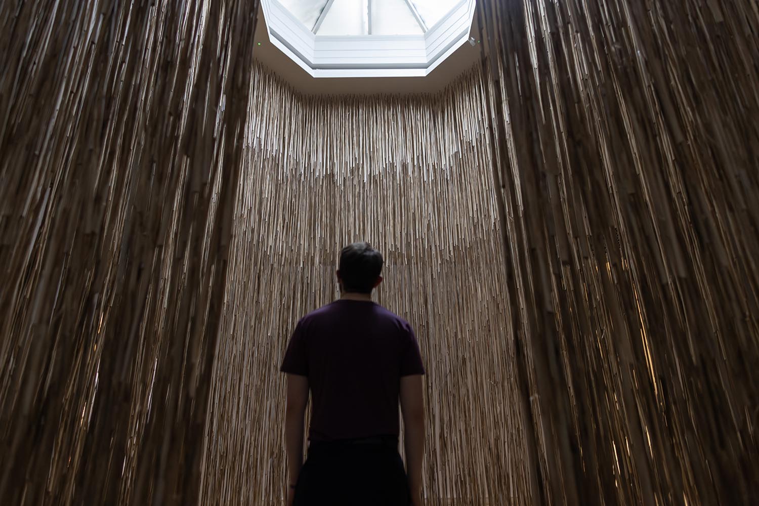 ‘Nature bent to high art’: Skylight, 2025