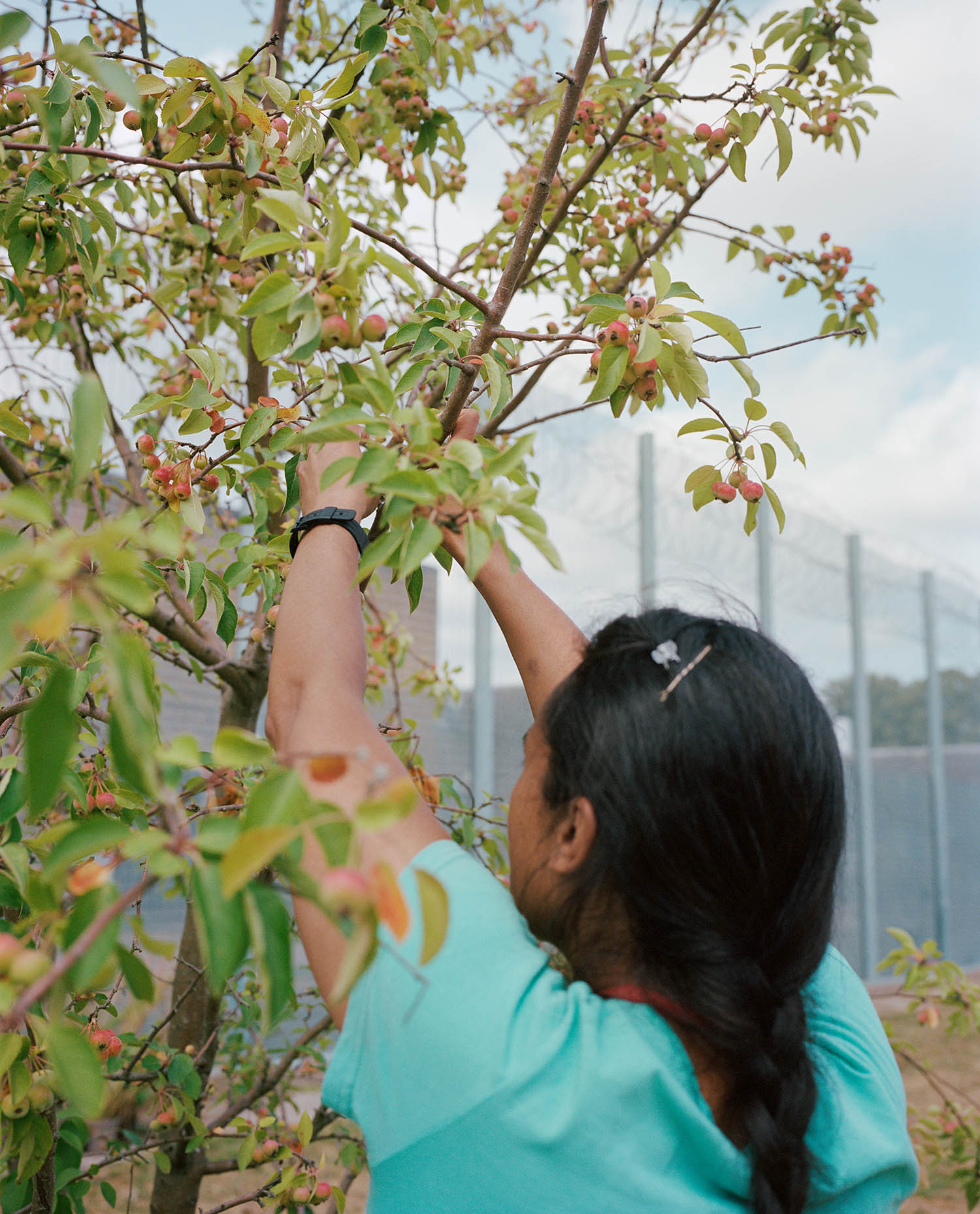 Imprisoned women often speak of being deprived of nature and its ability to soothe