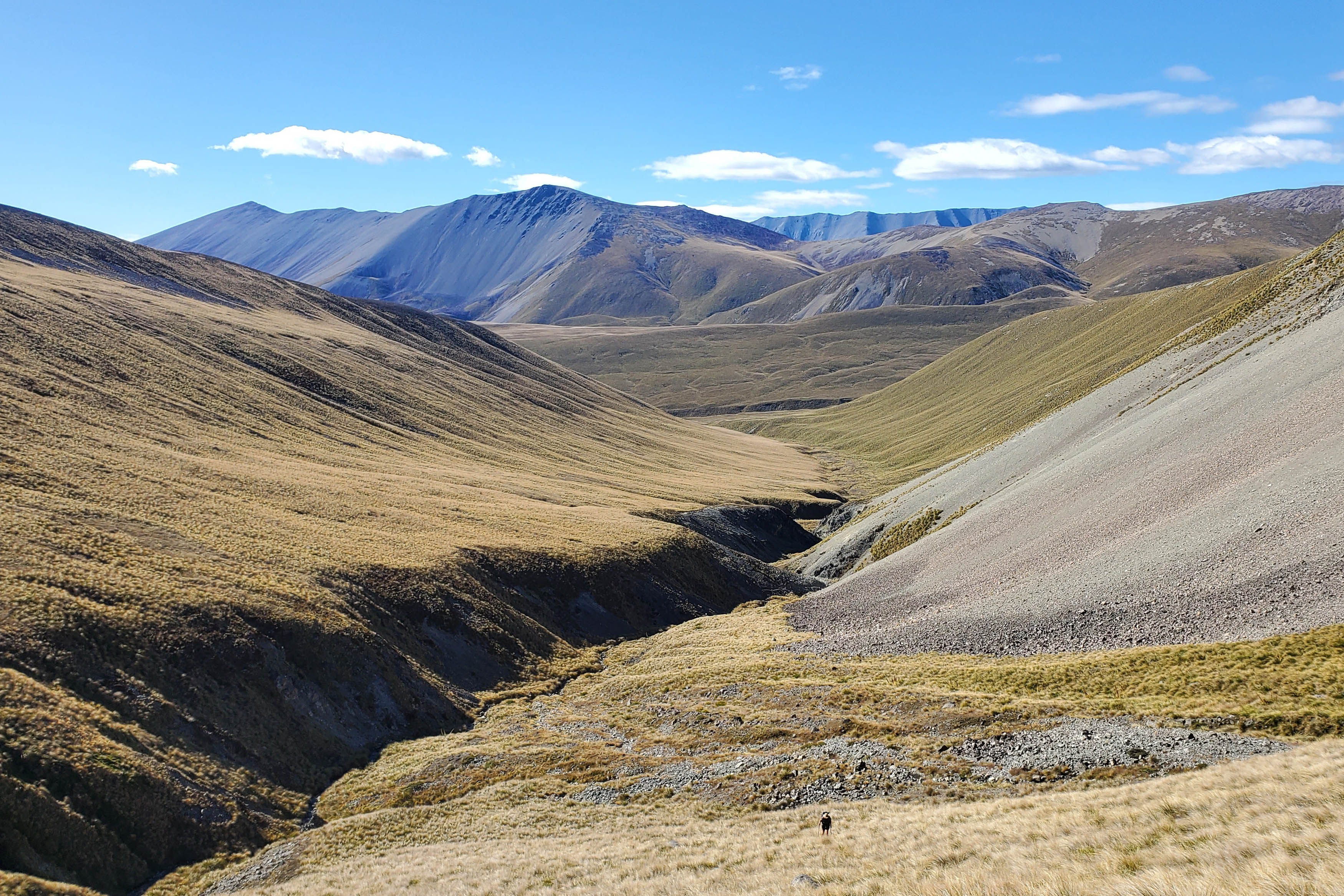 The long pathway: Claire cuts a tiny figure as she heads up Stag Saddle in the South Island’s Canterbury region – the highest point on Te Araroa, although far from the biggest climb