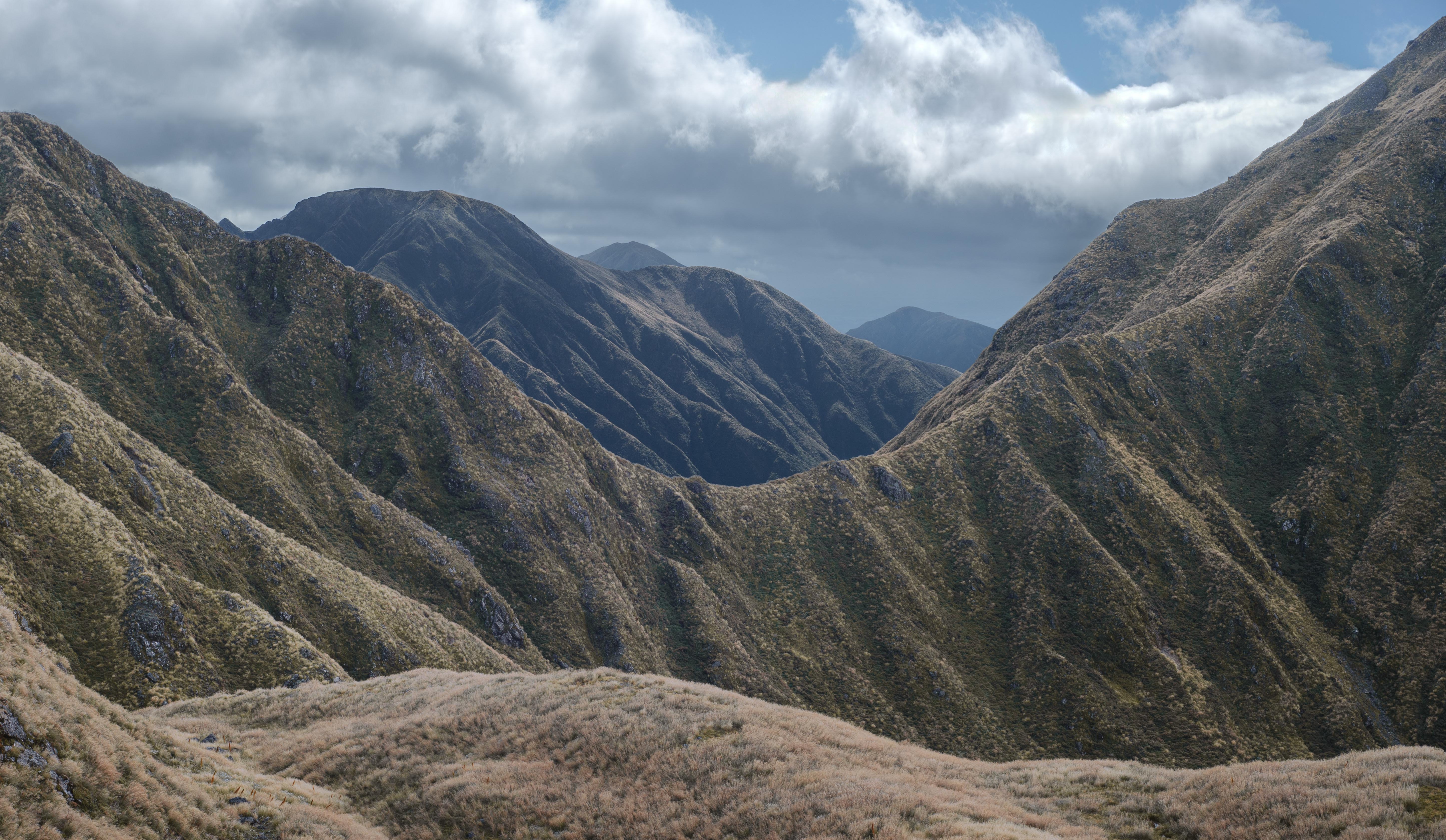 A long way from home: walking the length of New Zealand