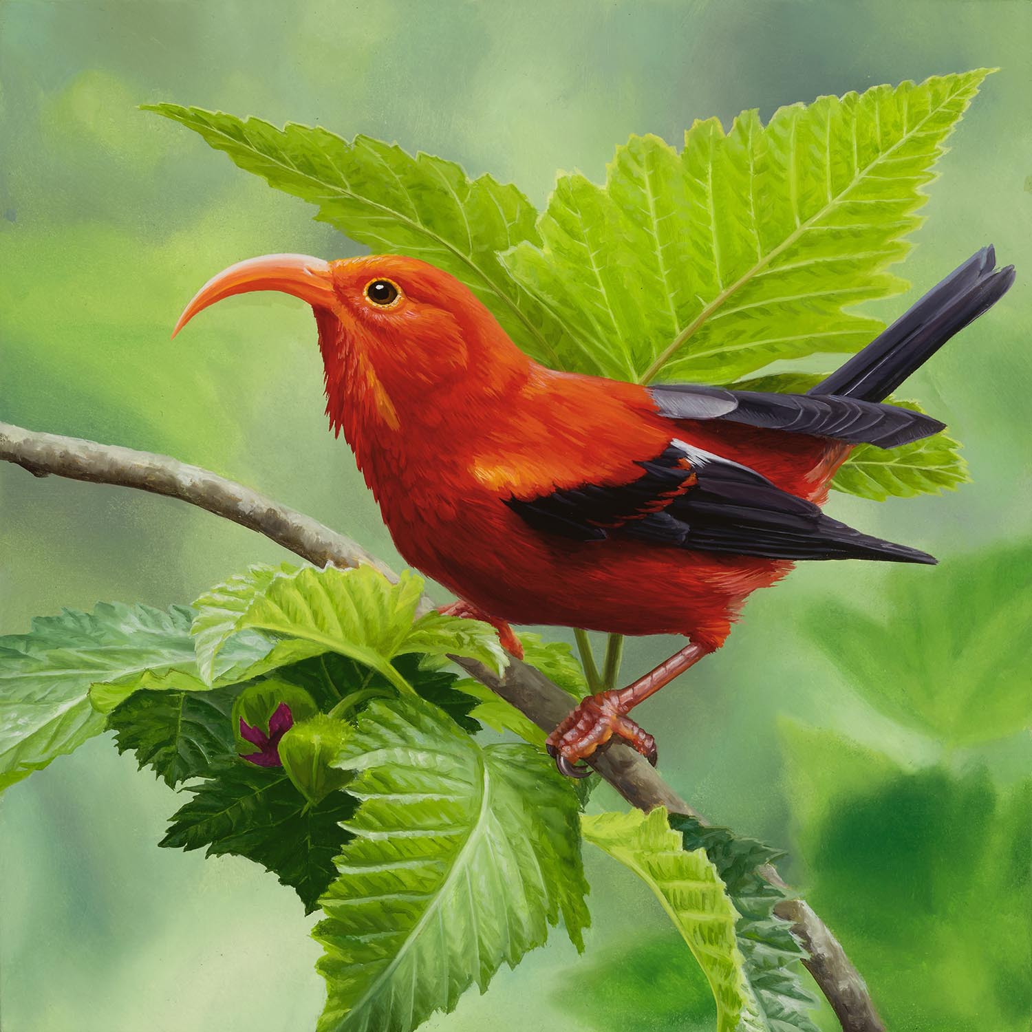 one of article images