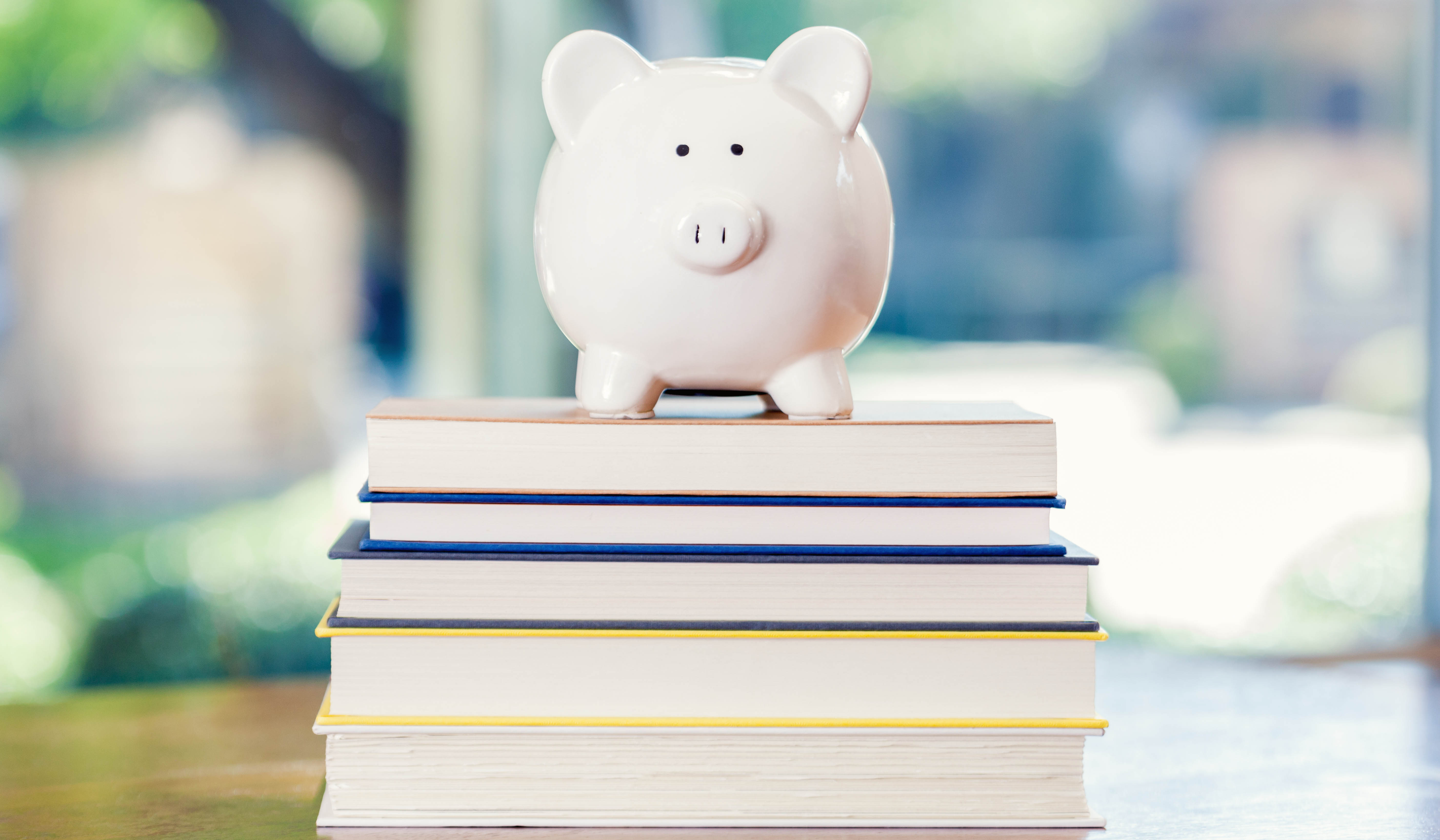 ‘My son’s pretend bookshop is not profitable, but it’s exciting’