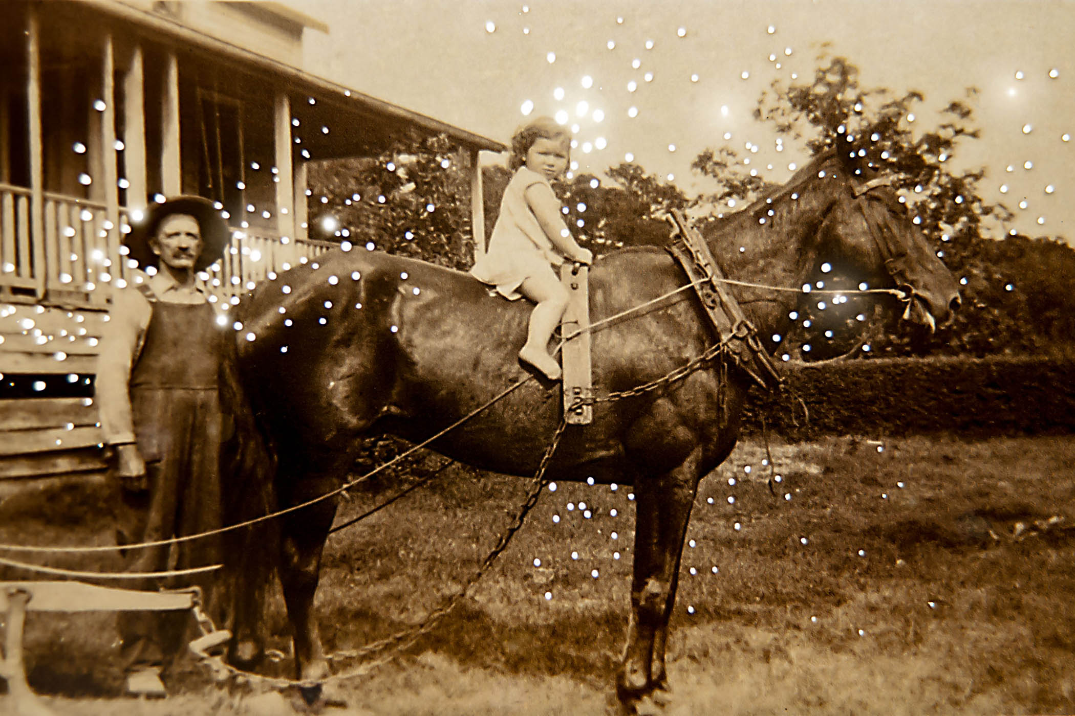 The grid: Amy Friend casts vintage photos in a new light