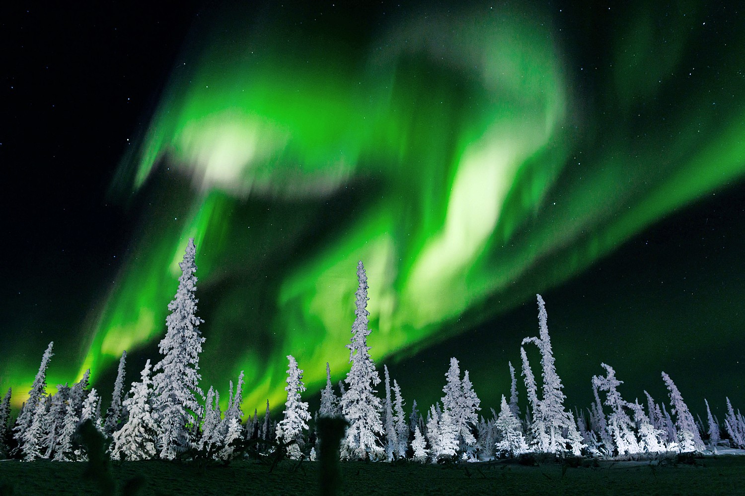 The northern lights are seen over Canada’s Northwest Territories in February this year. (Photo by Cole Burston/AFP via Getty)