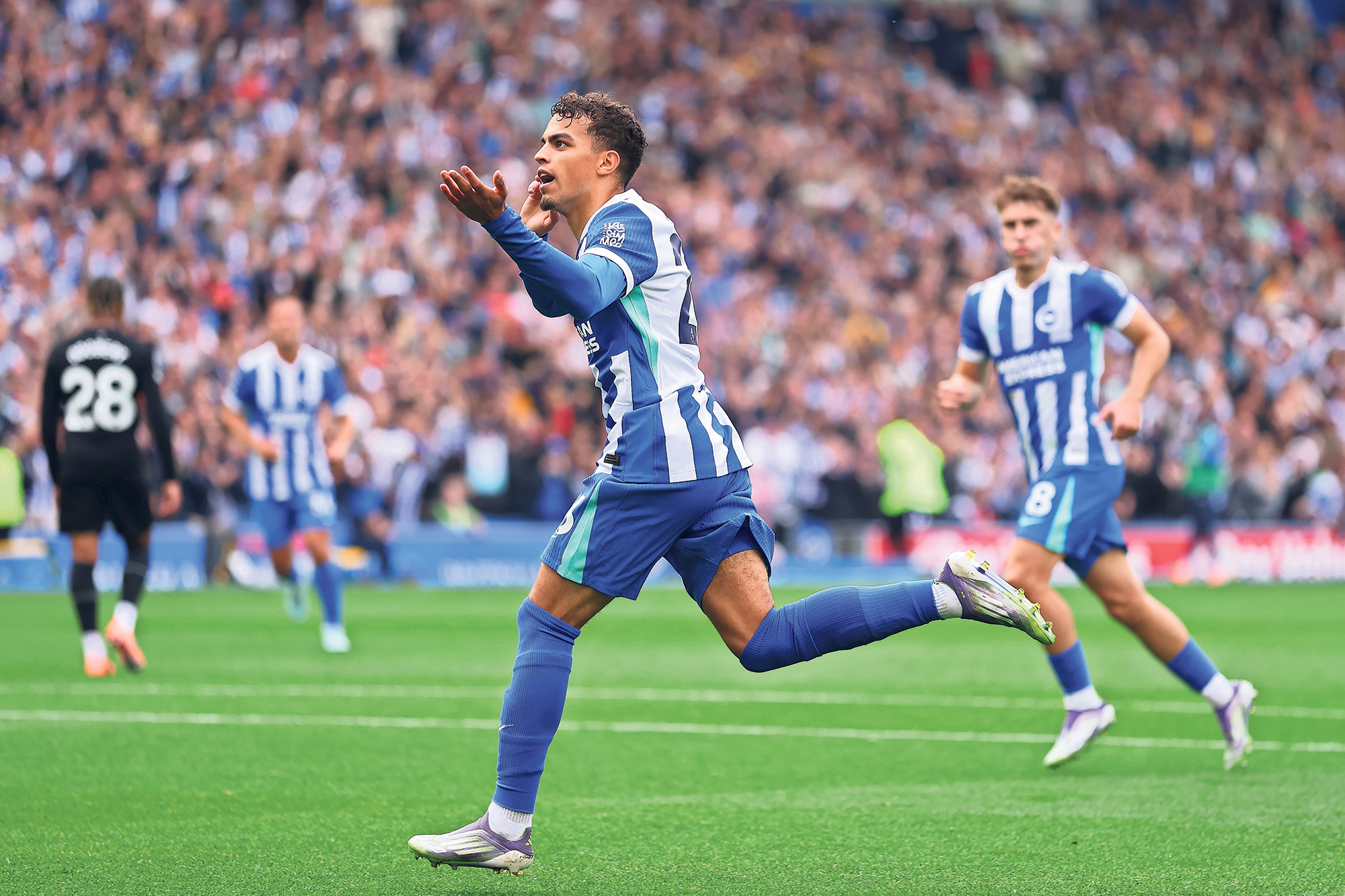 Brighton enjoy fruits of improving what they have despite slipping to draw
