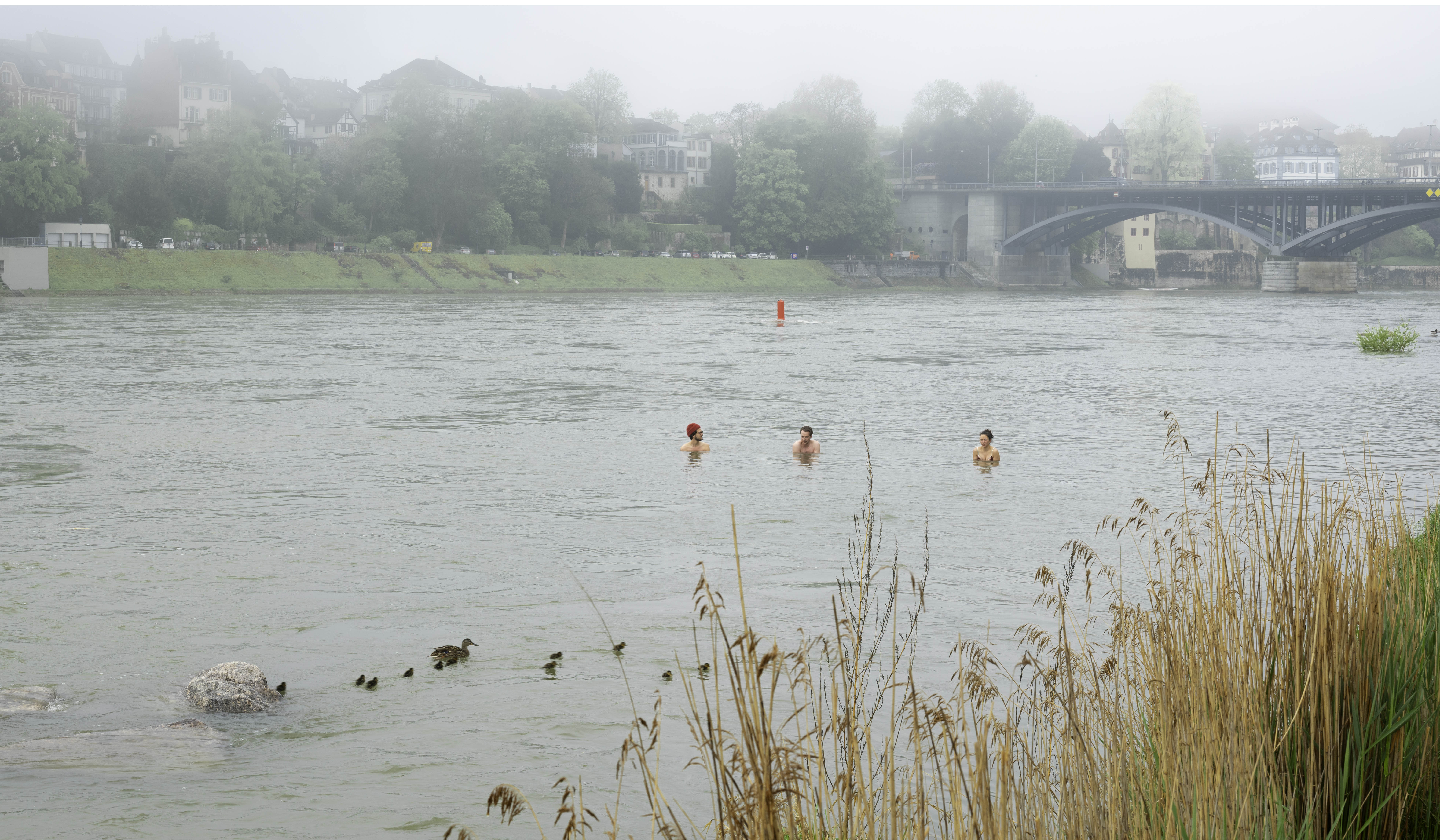 A brush with Basel