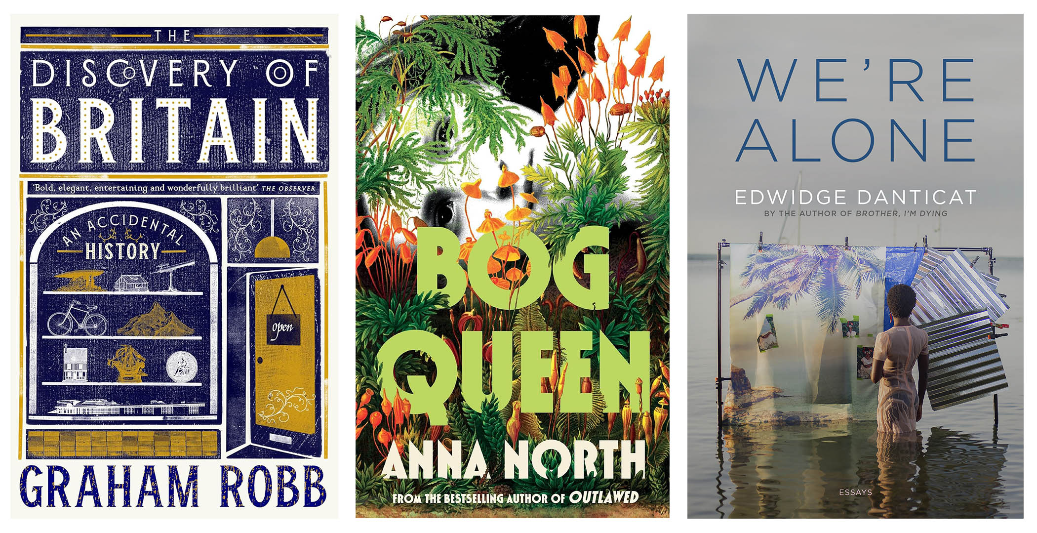 Books in brief: The Discovery of Britain, Bog Queen and We’re Alone