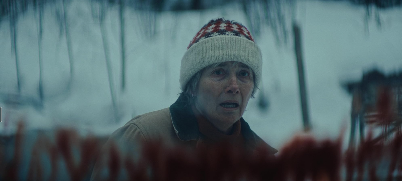 Wendy Ide’s pick of other films: Dead of Winter, Brides, Homebound and more