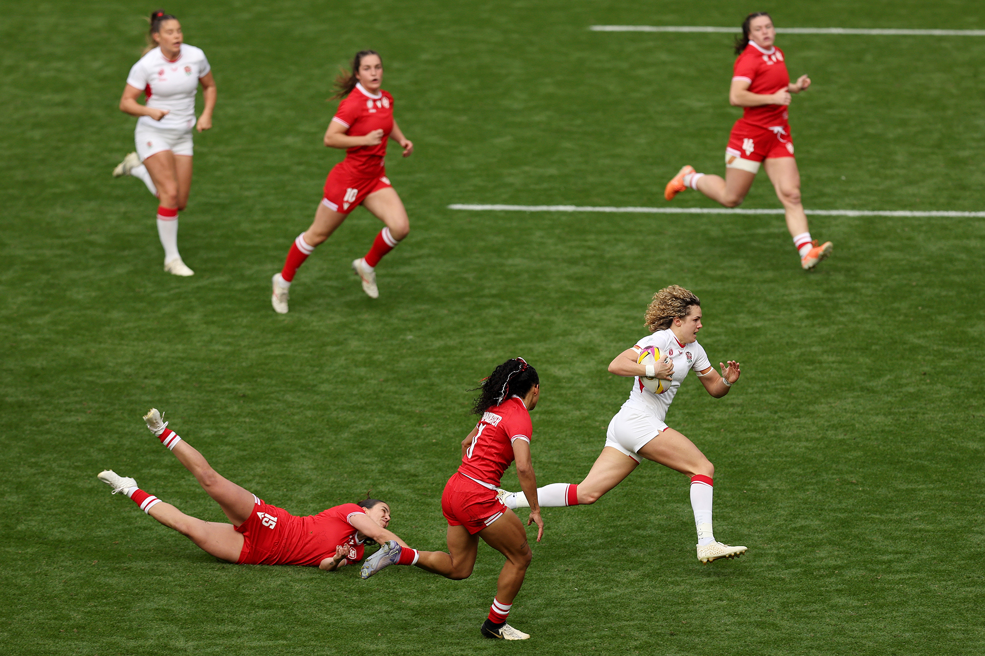 England’s resilience rewarded as they lift Rugby World Cup