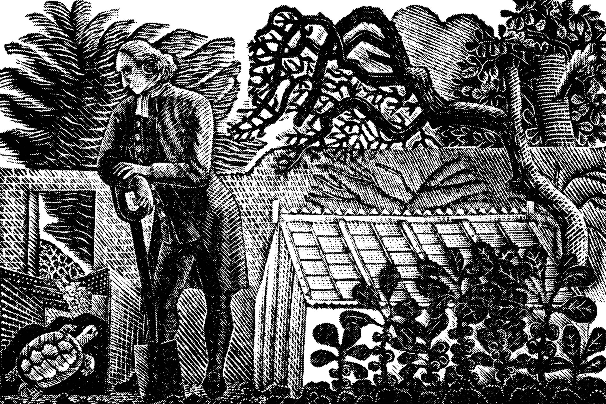 Gilbert White’s world of wonder
