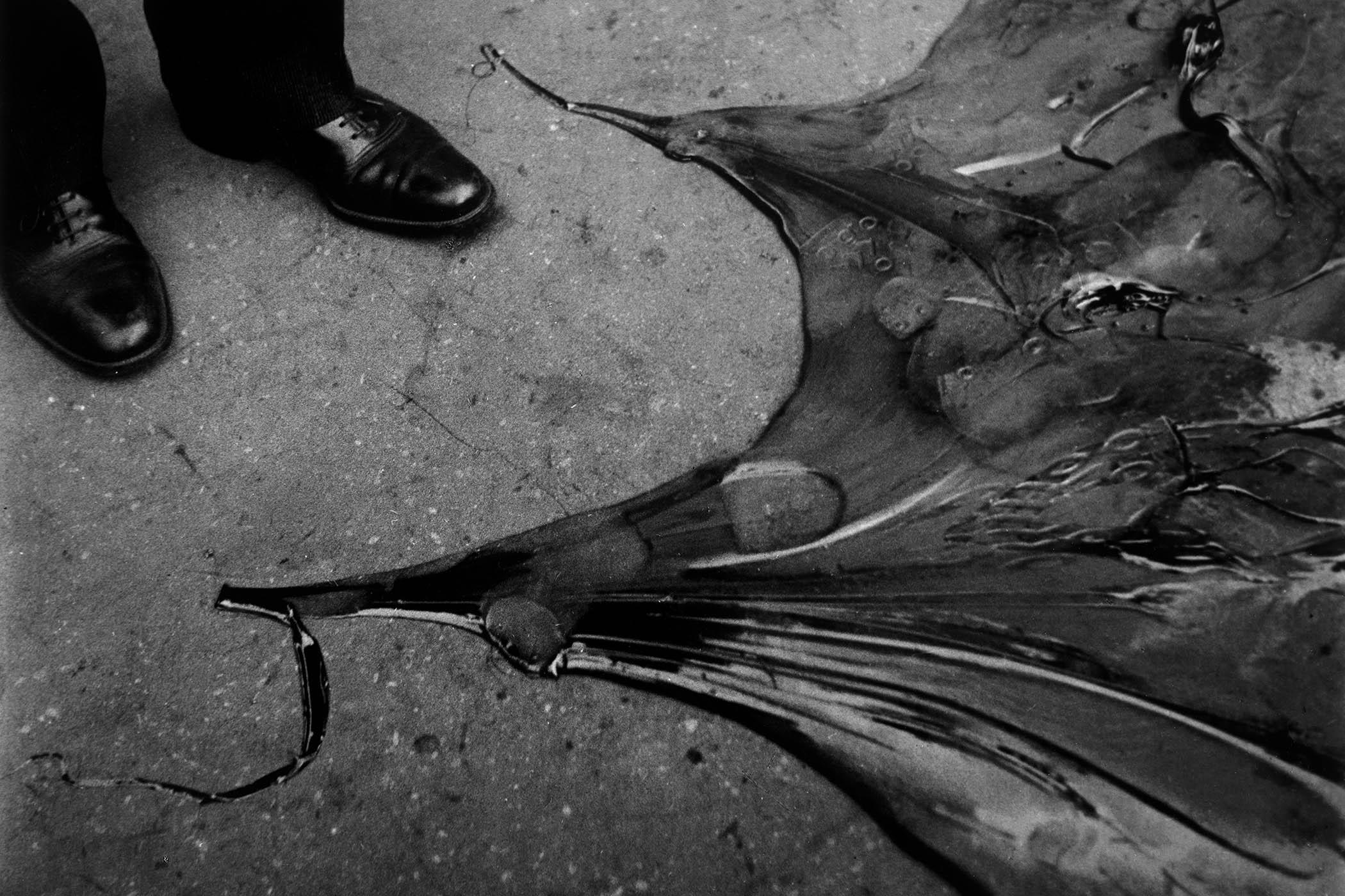 The making of Lee Miller