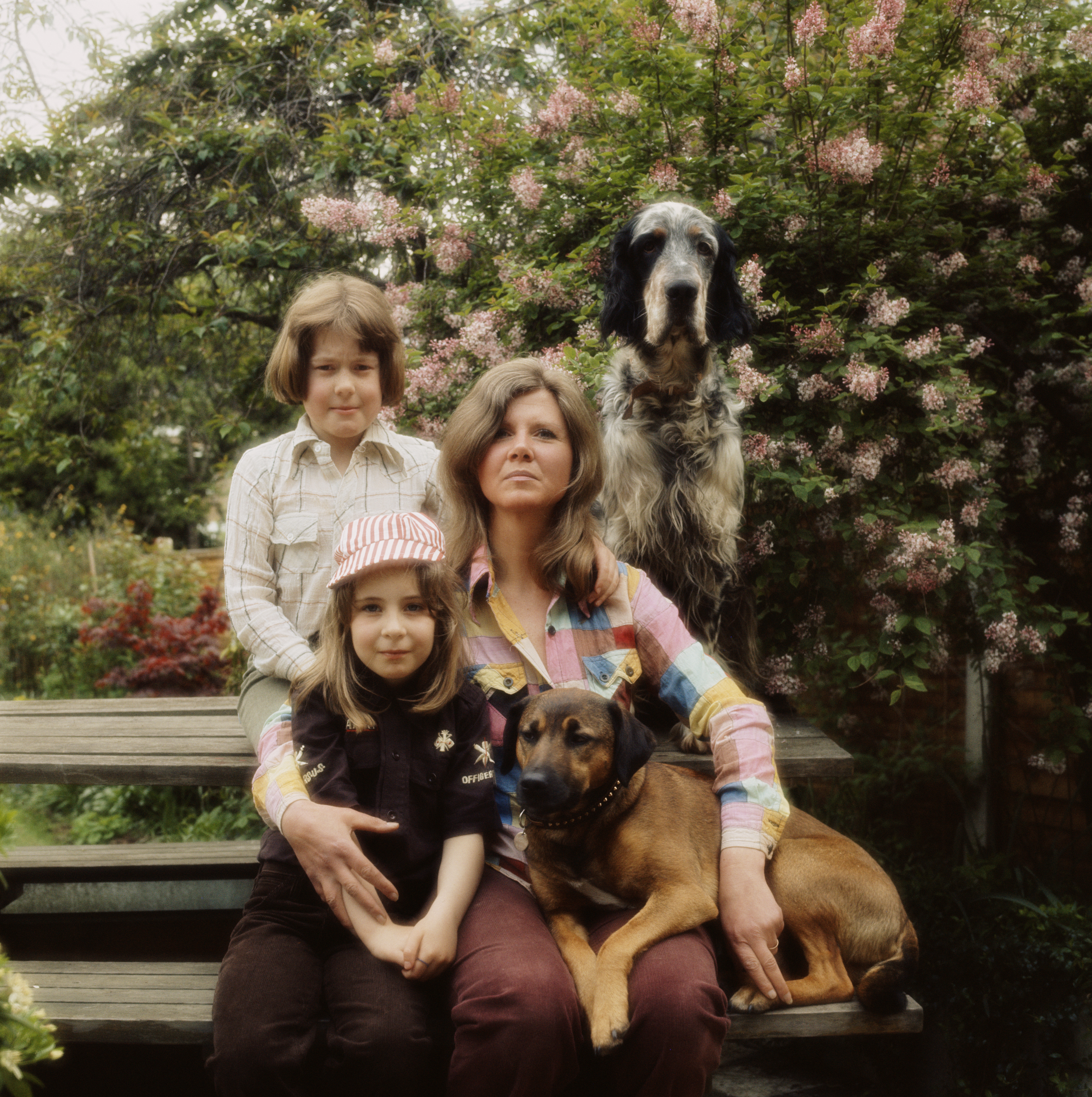 Jilly Cooper with her children Felix and Emily and their dogs, circa 1978