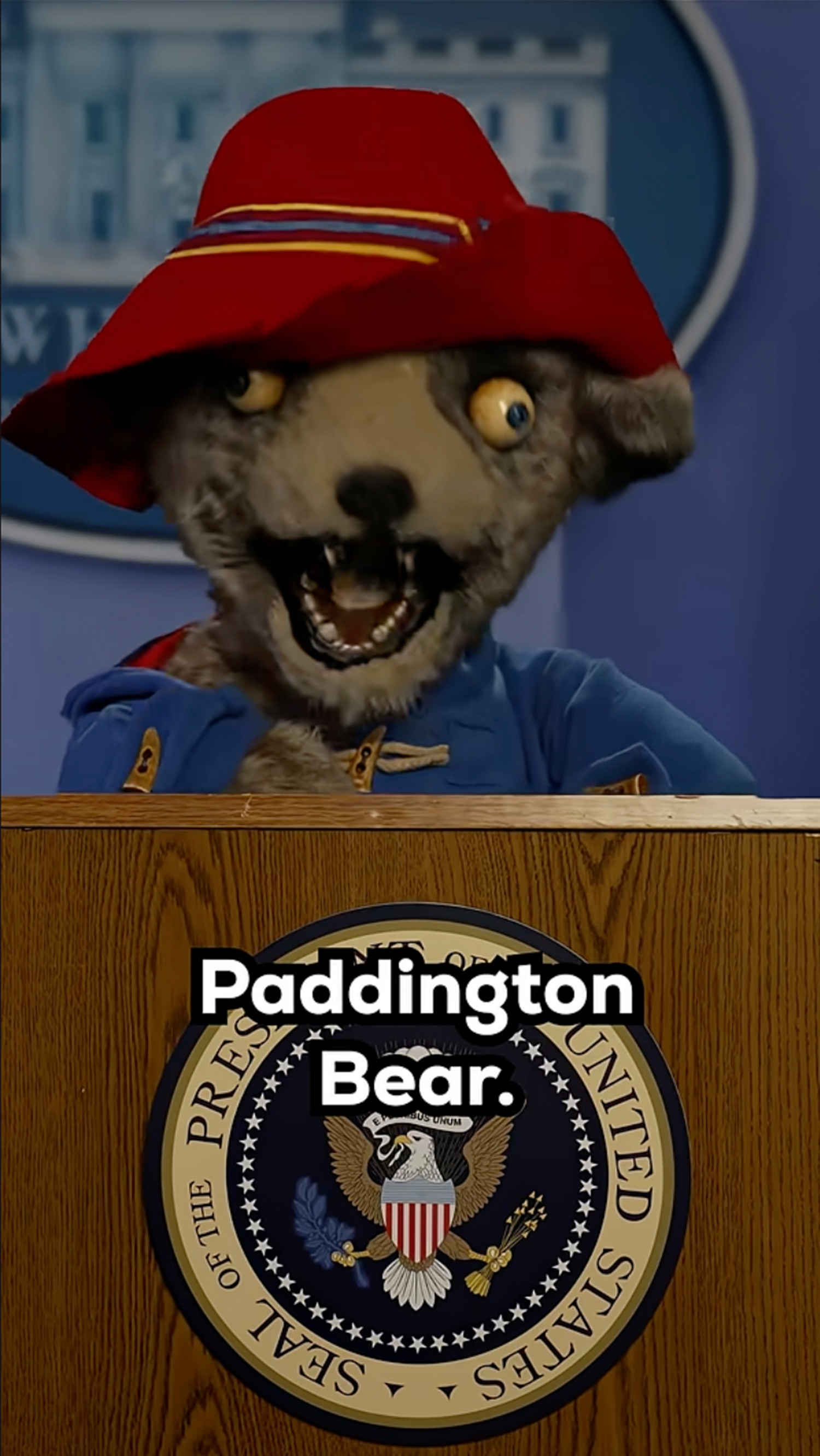 one of article images