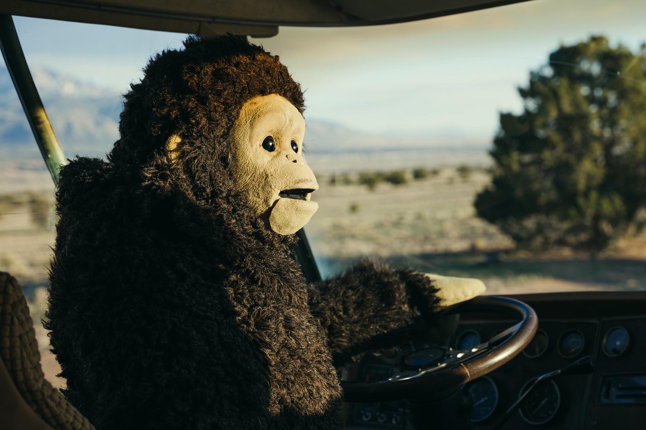 Nina Conti dons the boggle-eyed monkey head for the leading role
