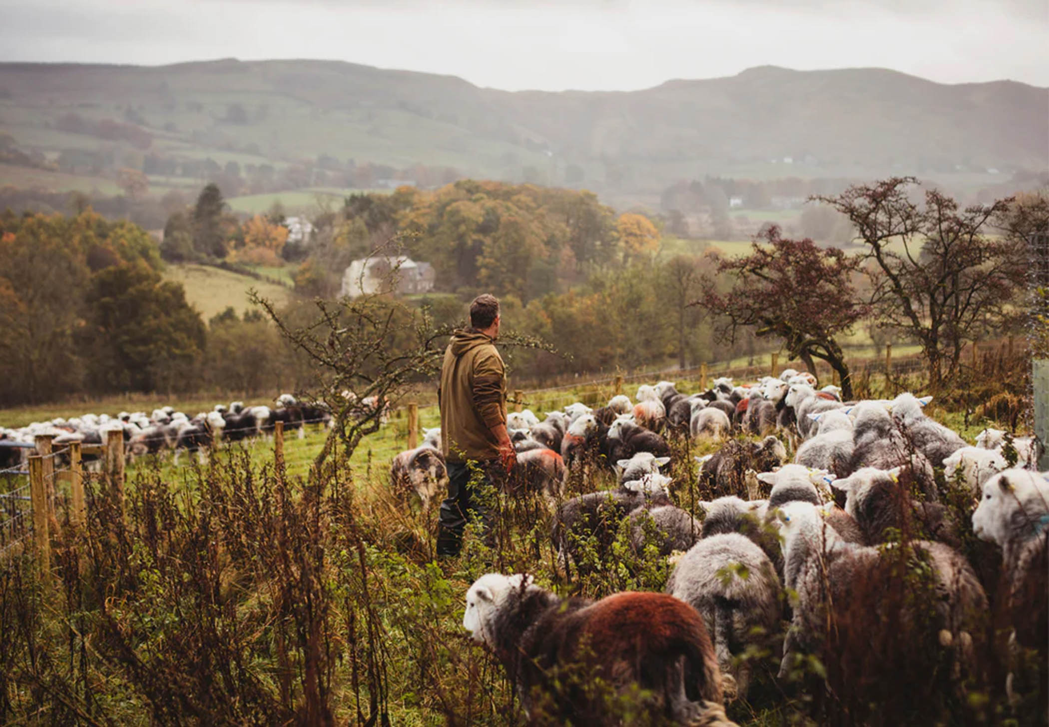 A radical rural manifesto