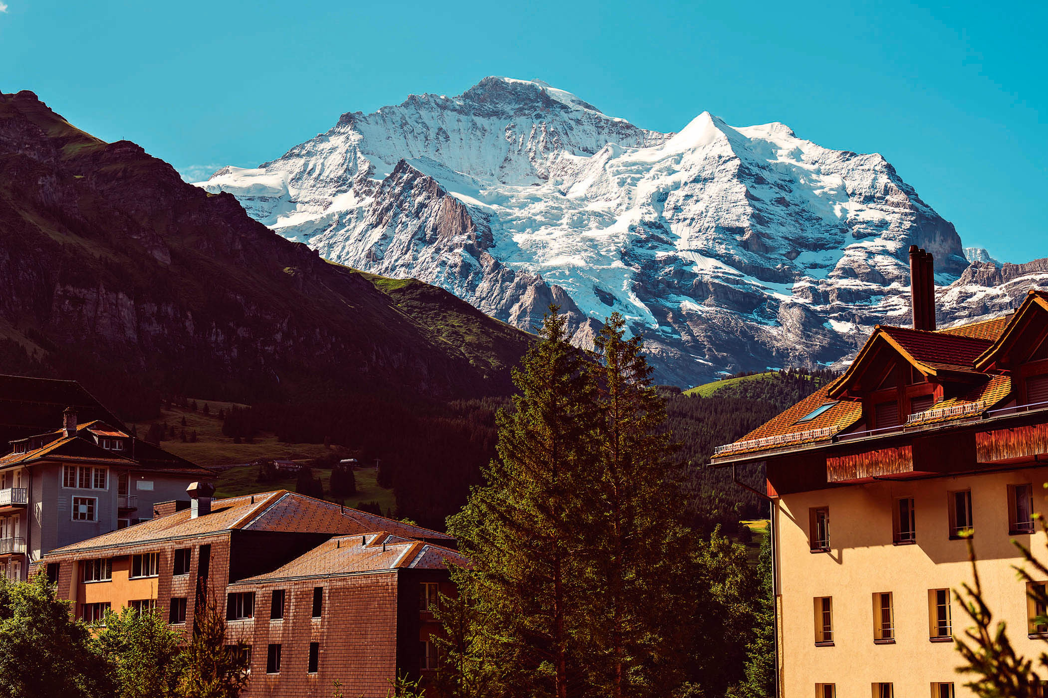 Swiss bliss: the Grand Hotel Belvedere is back on top