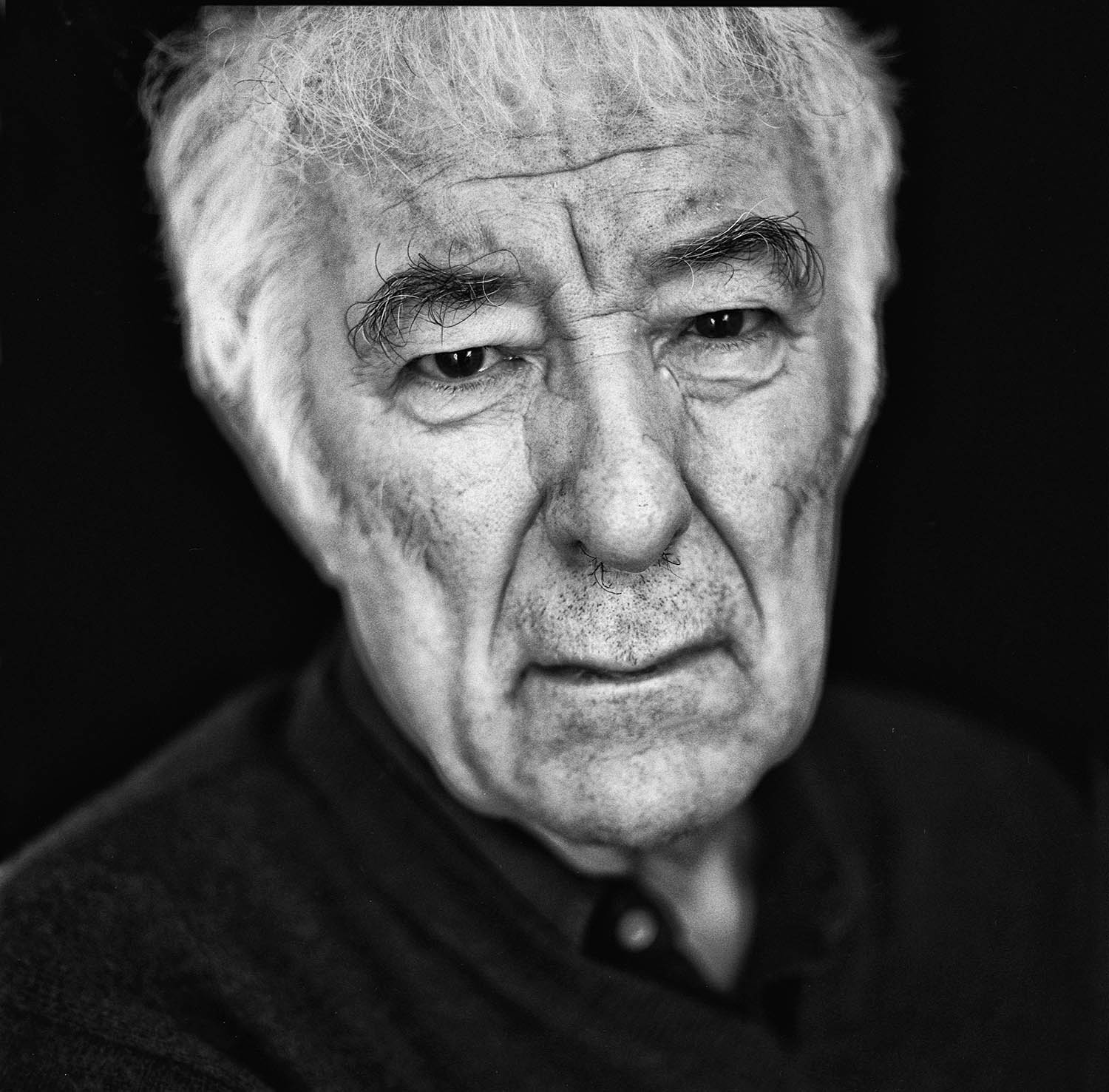Seamus Heaney’s poems for a darkening age