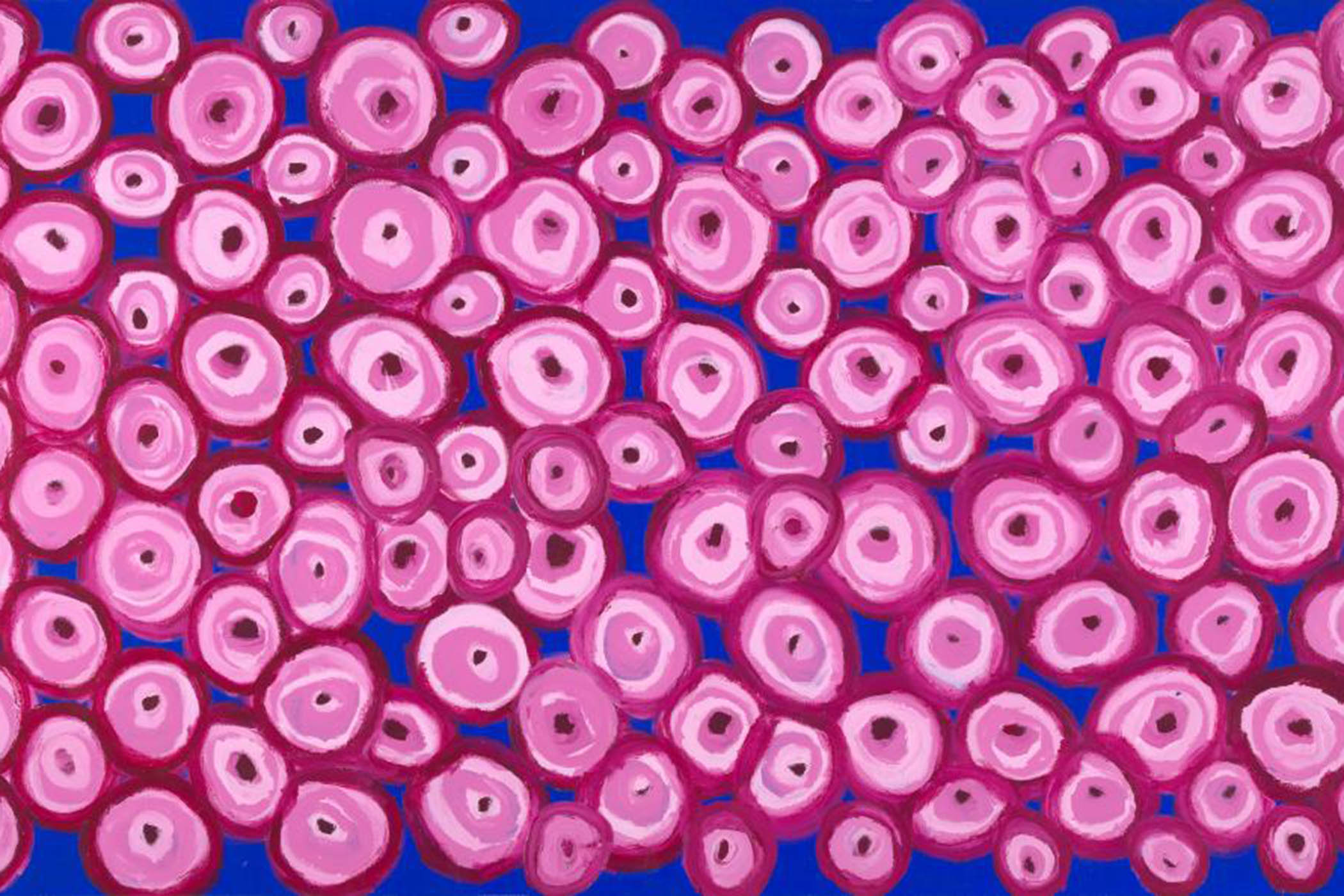 Kaiadilt artist Sally Gabori’s painting Big School of Mullet helped Nicholas Evans solve the mystery of a Kayardild word that meant both ‘hole’ and ‘school of fish’