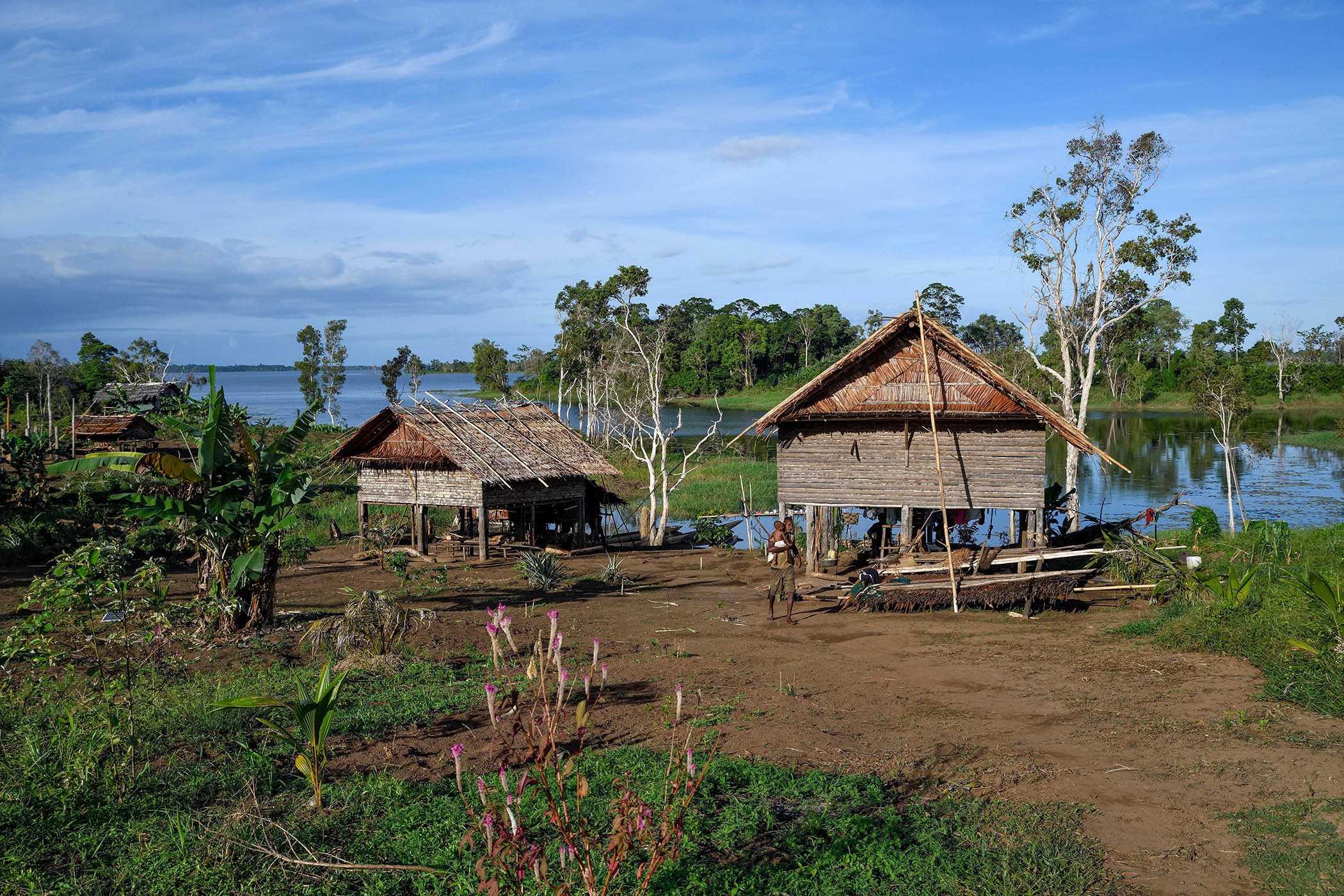 A village in Papua New Guinea. More than 800 languages are spoken in the country, some by fewer than 500 speakers