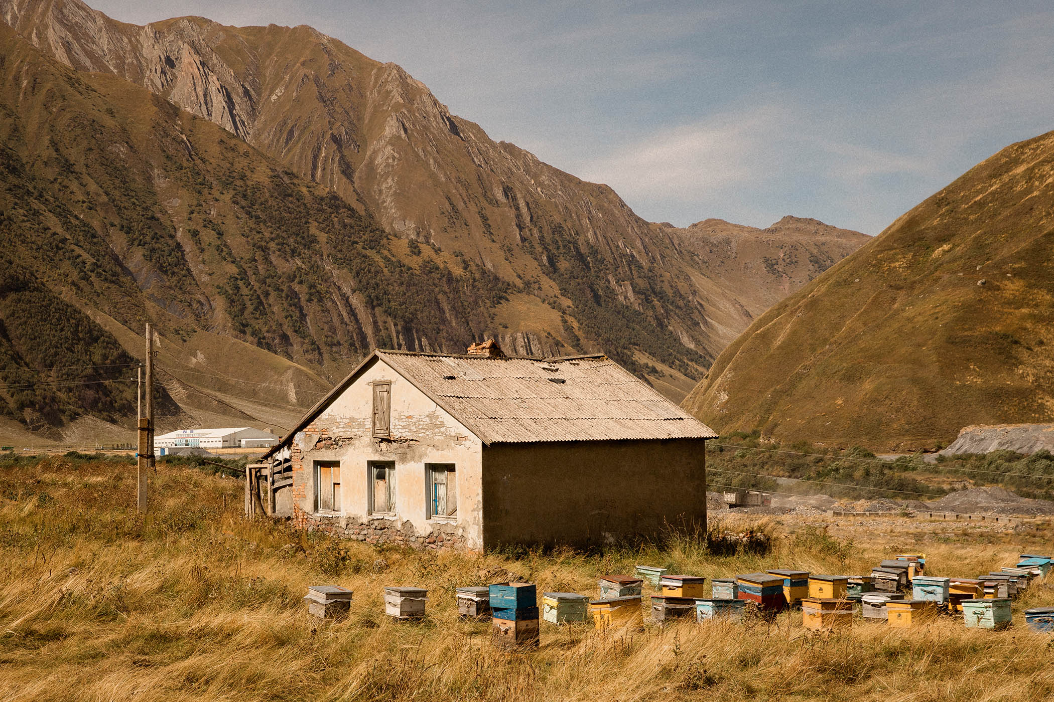 Beehives in Truso Valley, on the road from Tbilisi to Kazbegi